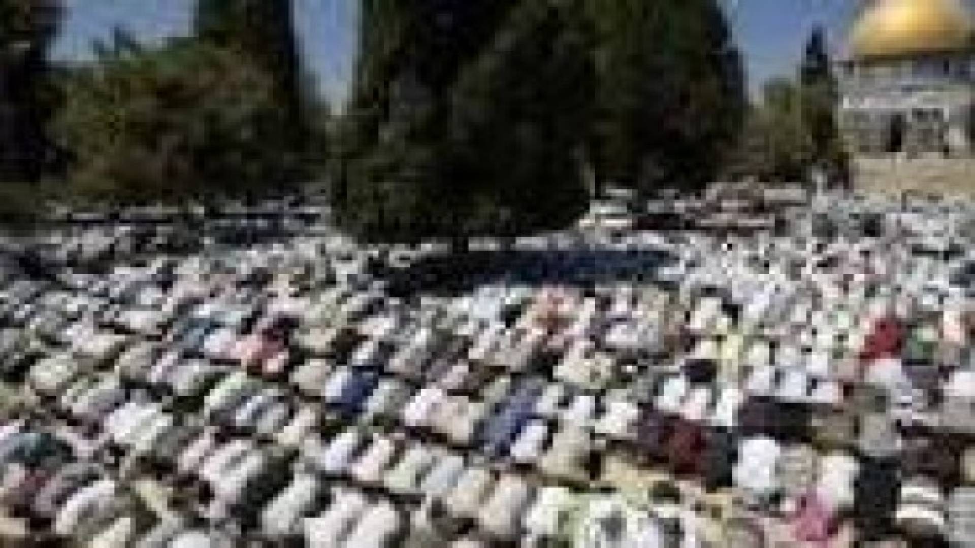 آلاف الفلسطينين يؤدون قيام الليل والفجر في الأقصى