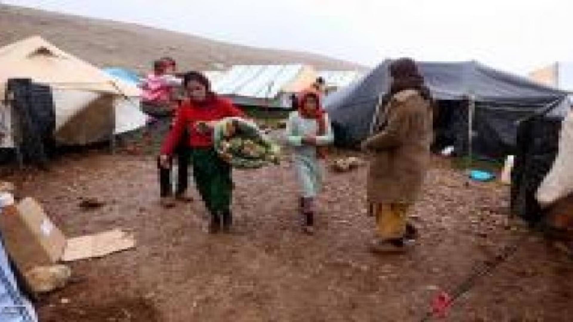 داعش الإرهابي يبيع عشرات "السبايا" الإيزيديات