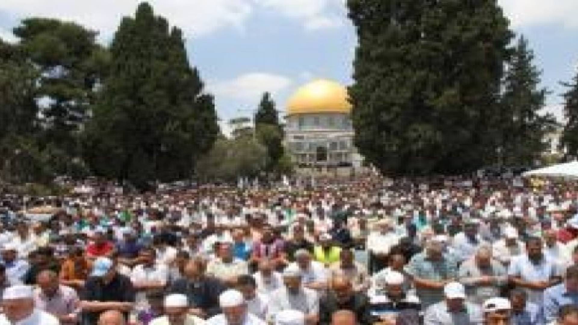 350 الف فلسطيني يؤدون صلاة الجمعة اليوم في المسجد الاقصى