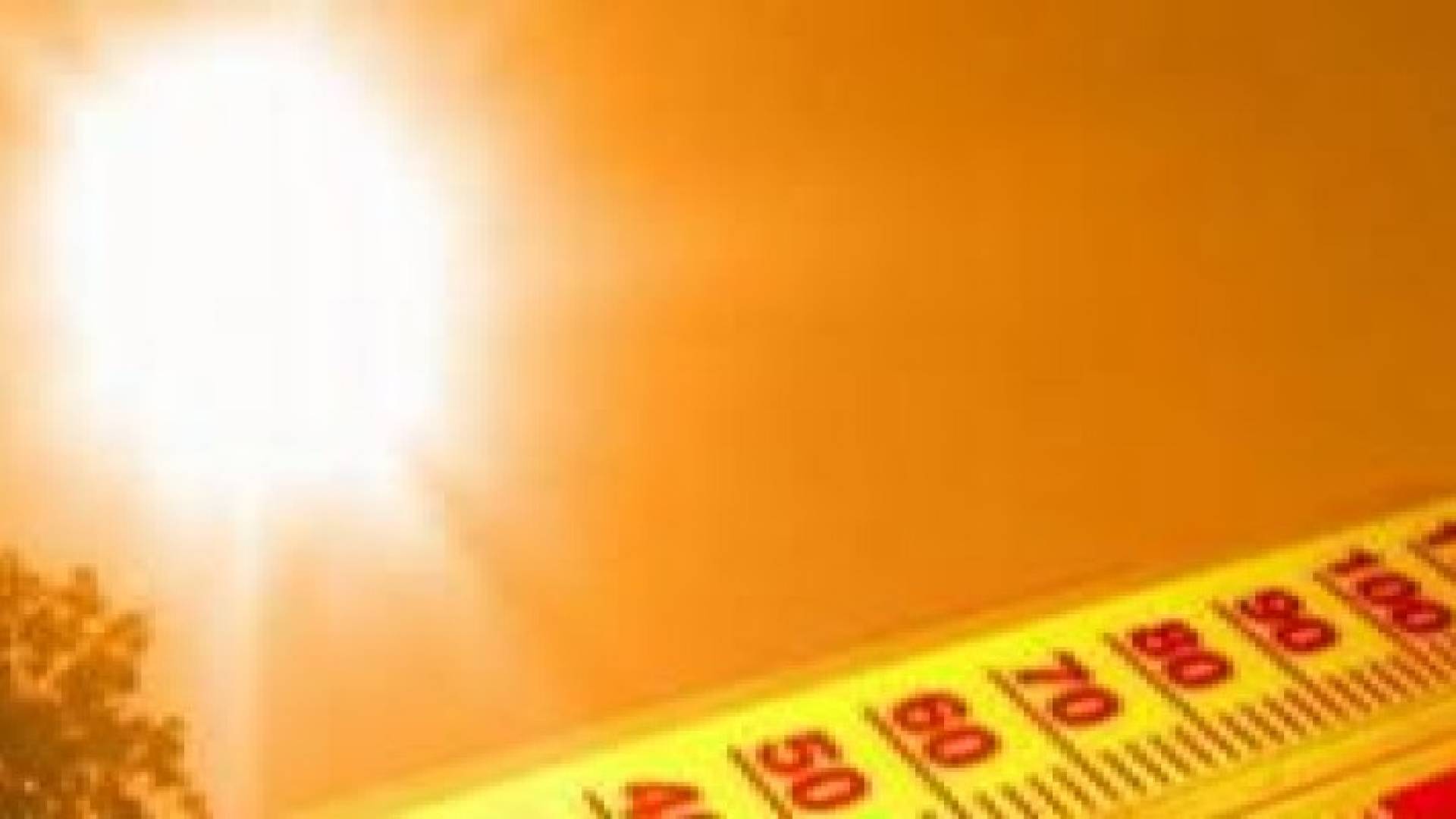 ارتفاع عدد ضحايا موجة الحر بباكستان إلى 1200 شخص
