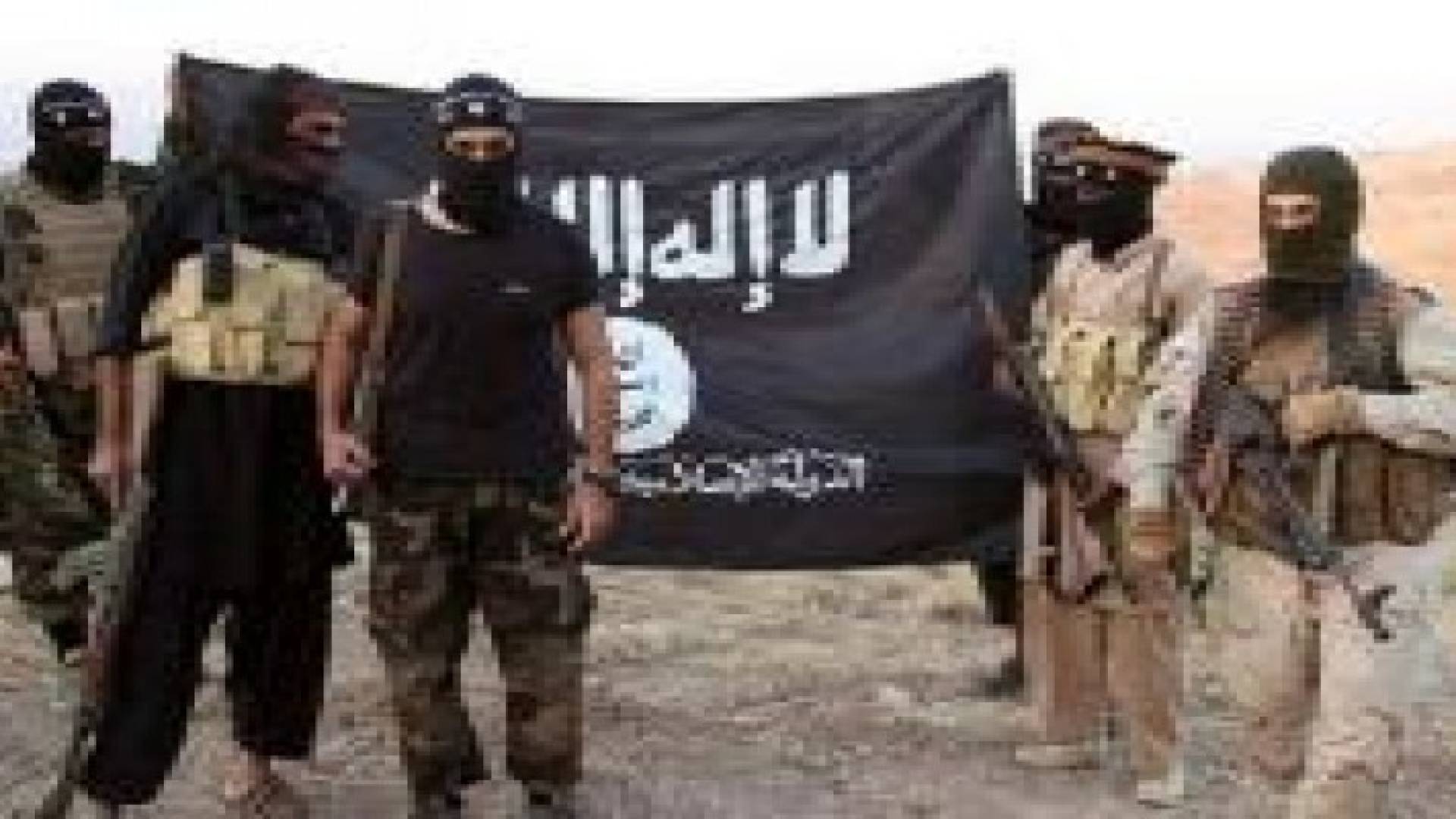 محلل أمريكي لـCNN: داعش رسم خطوط الإرهاب العالمي بتنويع هجمات الجمعة