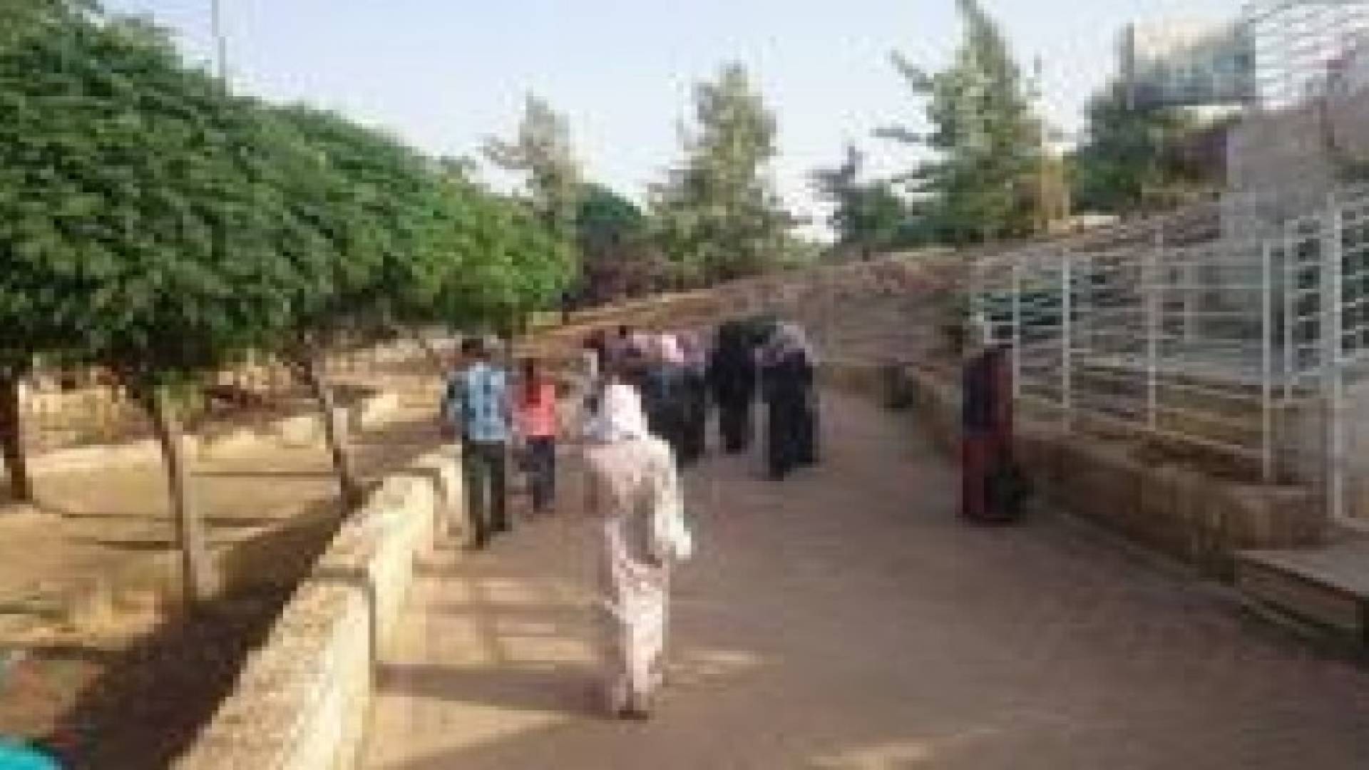 إفطار خيري ونشاطات ترفيهية لأطفال متلازمة داون