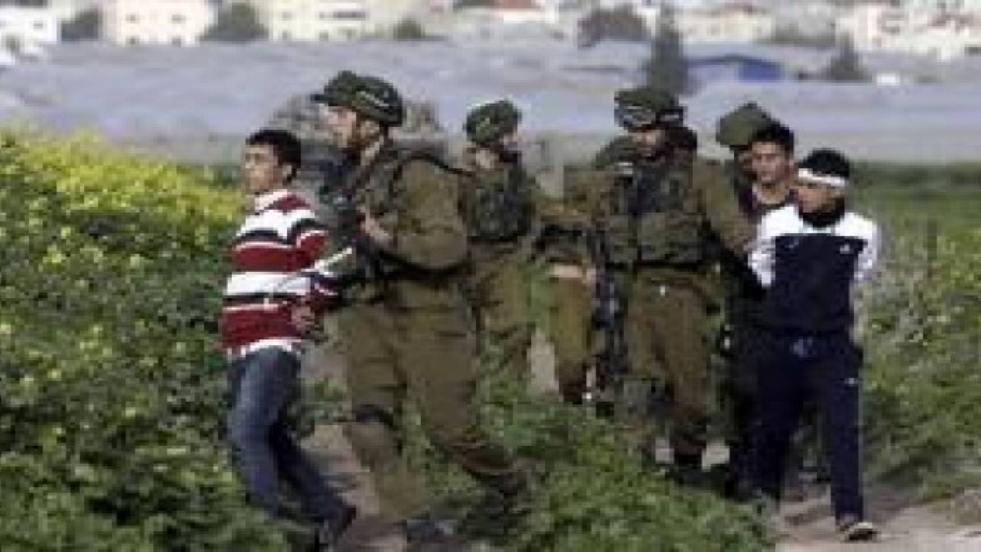جرحى جراء اعتداء الاحتلال على مسيرات سلمية في الضفة الغربية