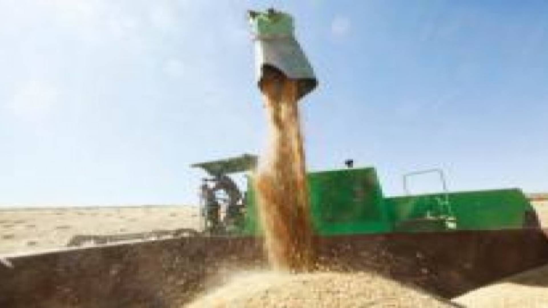 الحكومة تدرس إجراءات قانونية بحق مورد "القمح البولندية"