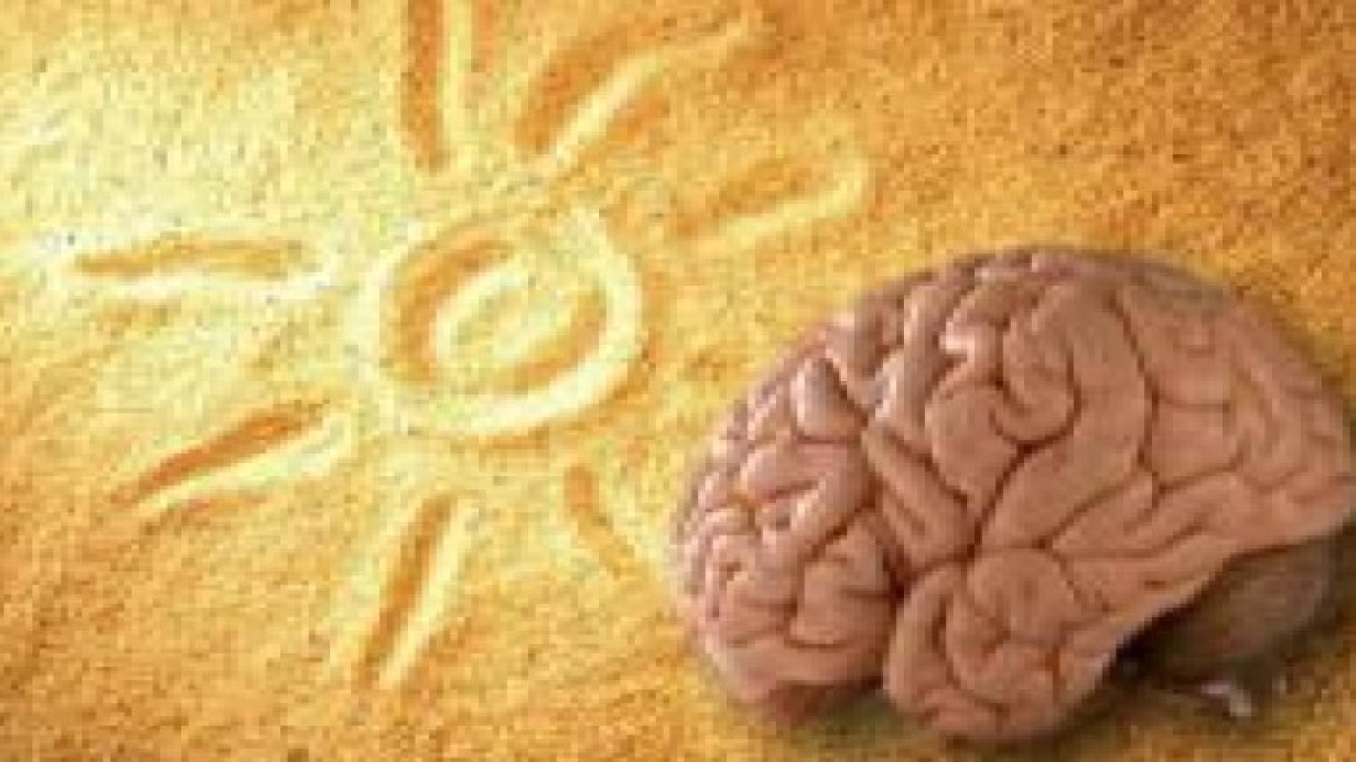 مخ الإنسان يحدد حلول الصيف بنفسه