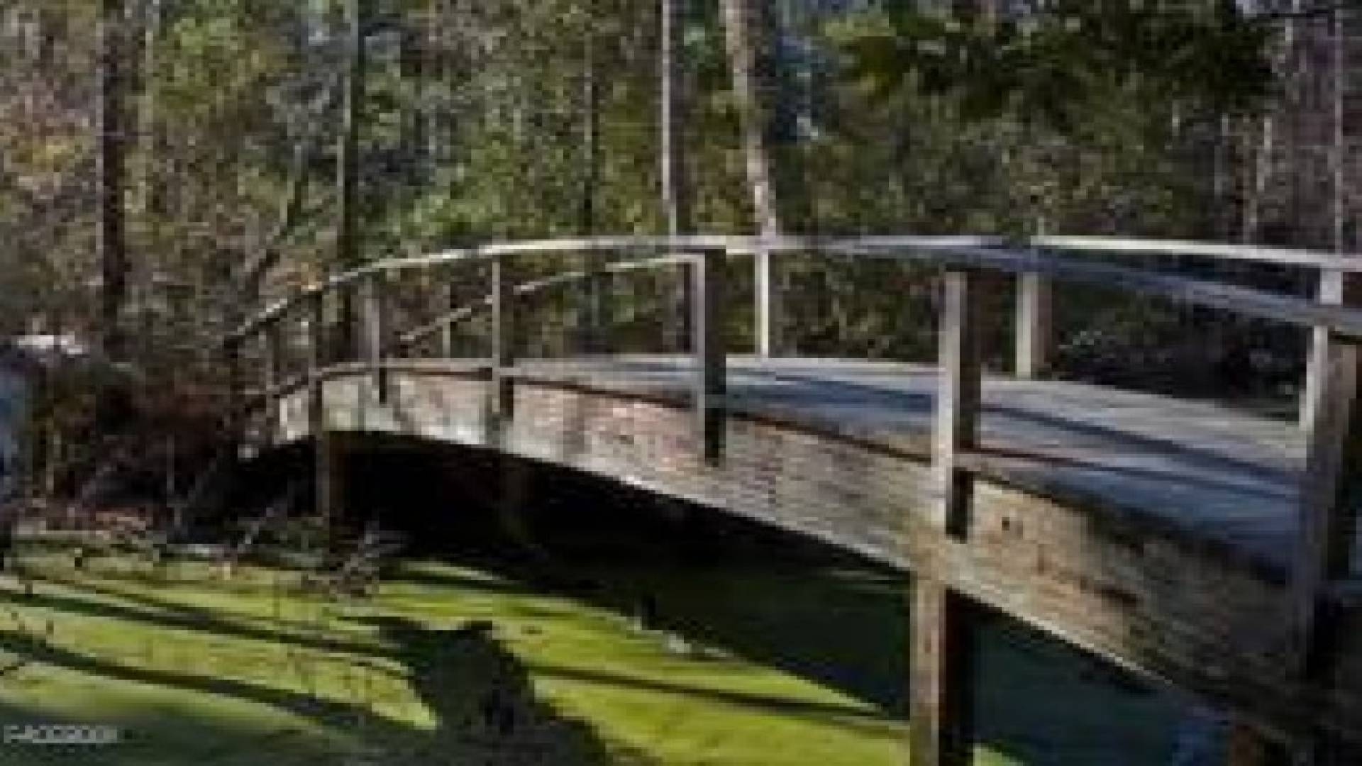 صورة فوتوغرافية "تدمر" جسرا