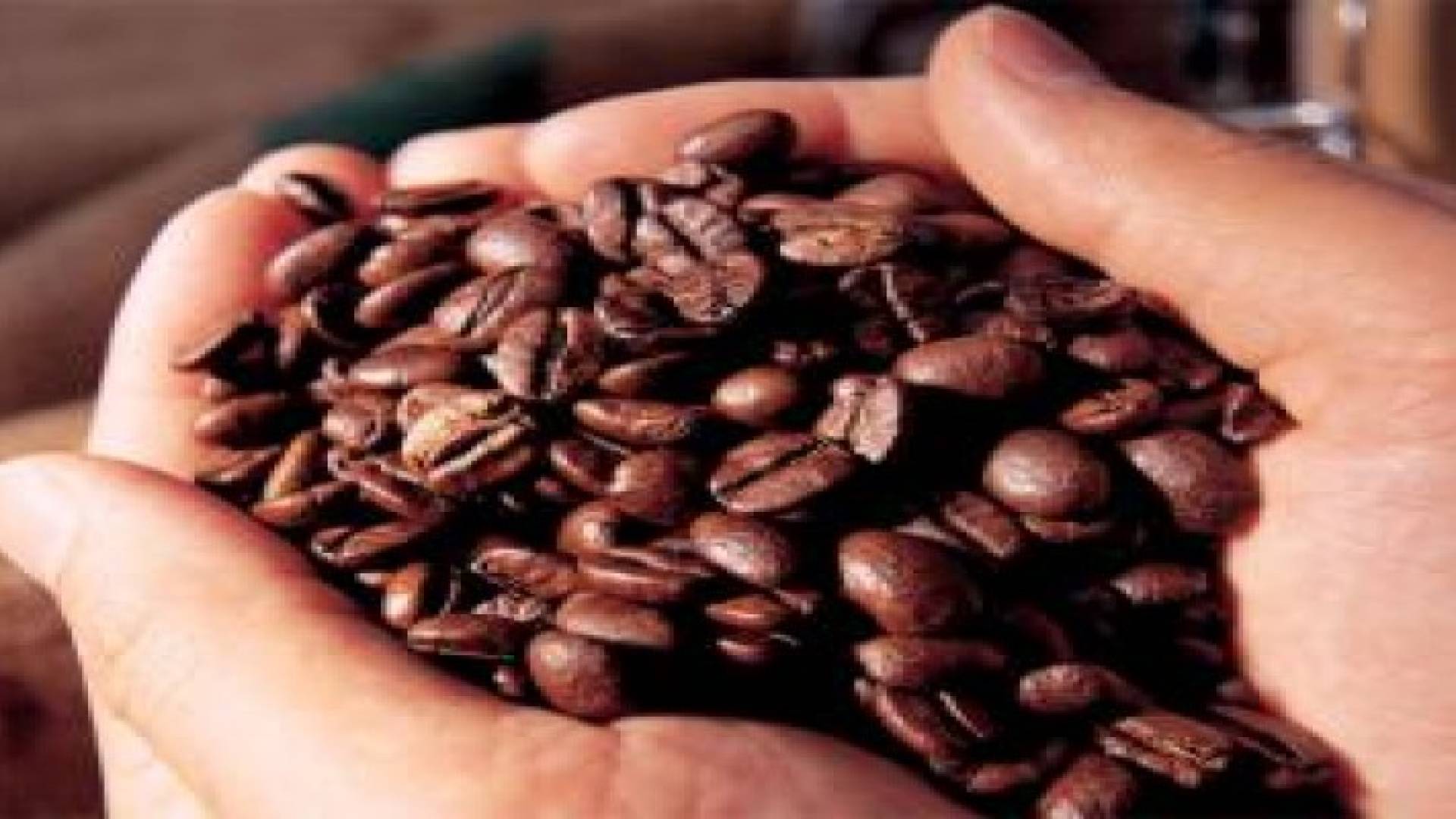 الجمارك الأردنية تحبط تهريب 21 طنا من القهوة