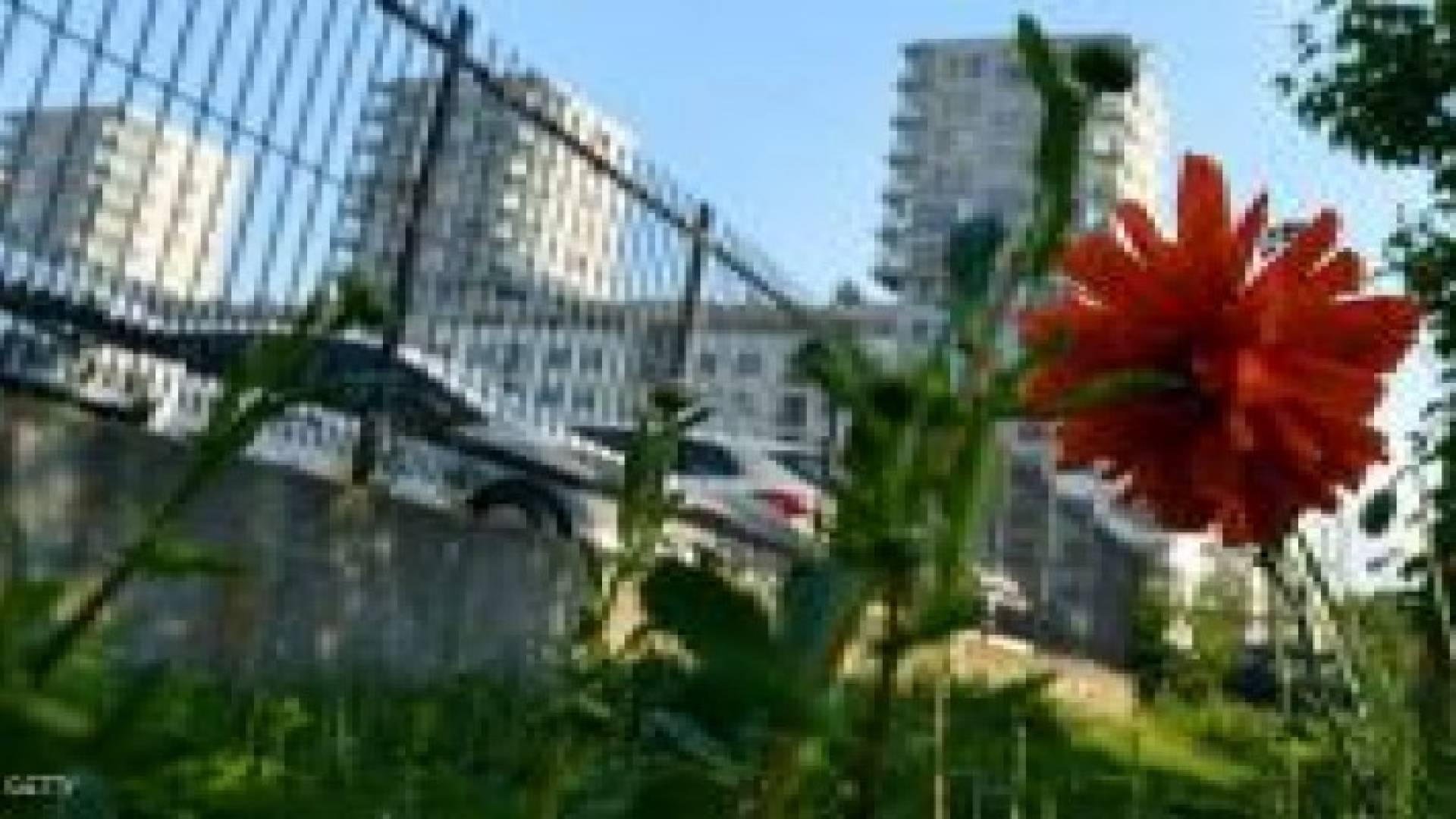 سياتل تحظر التدخين في الحدائق