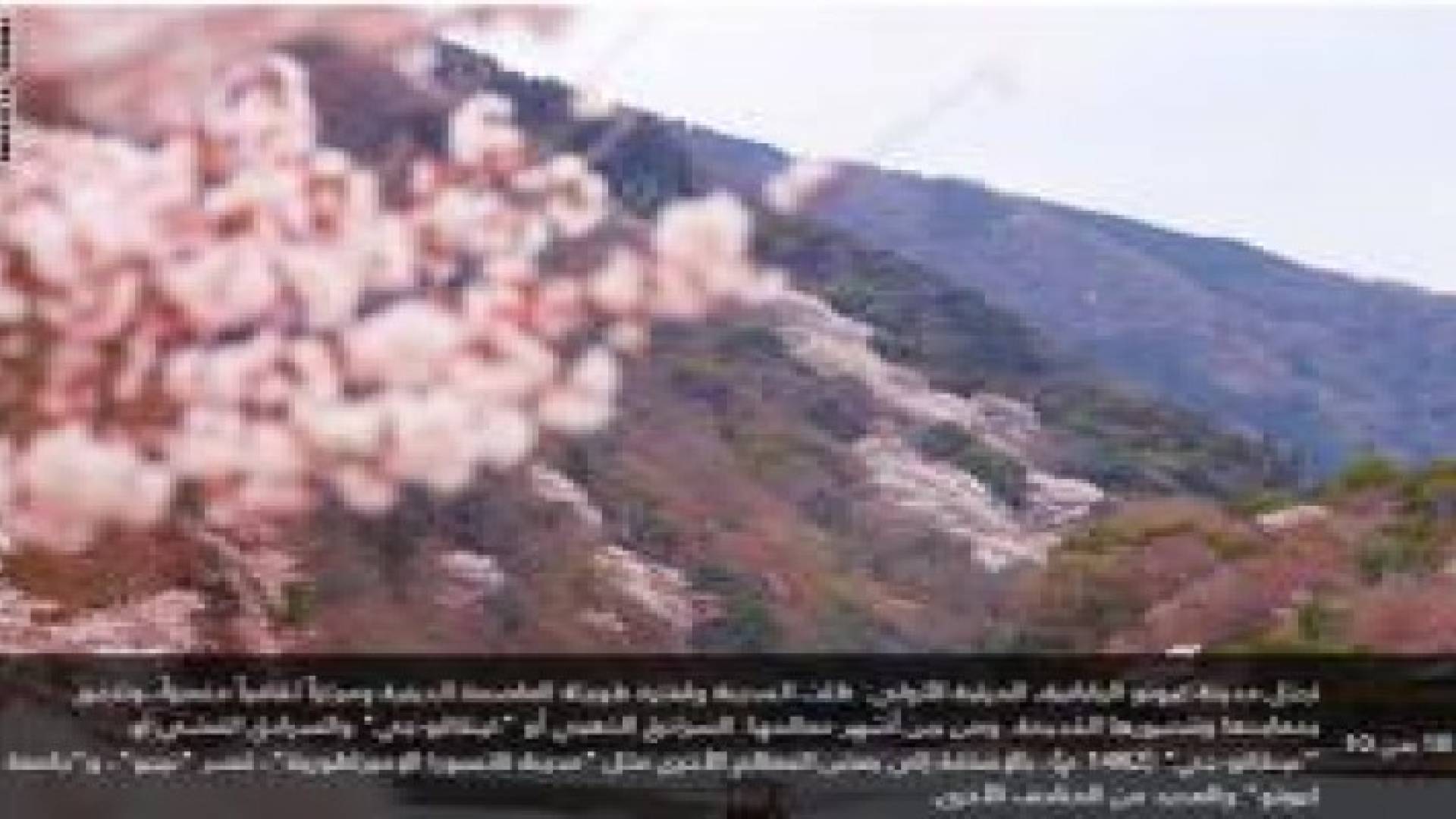 بالصور: ما هي أفضل مدينة في العالم للعام 2015؟