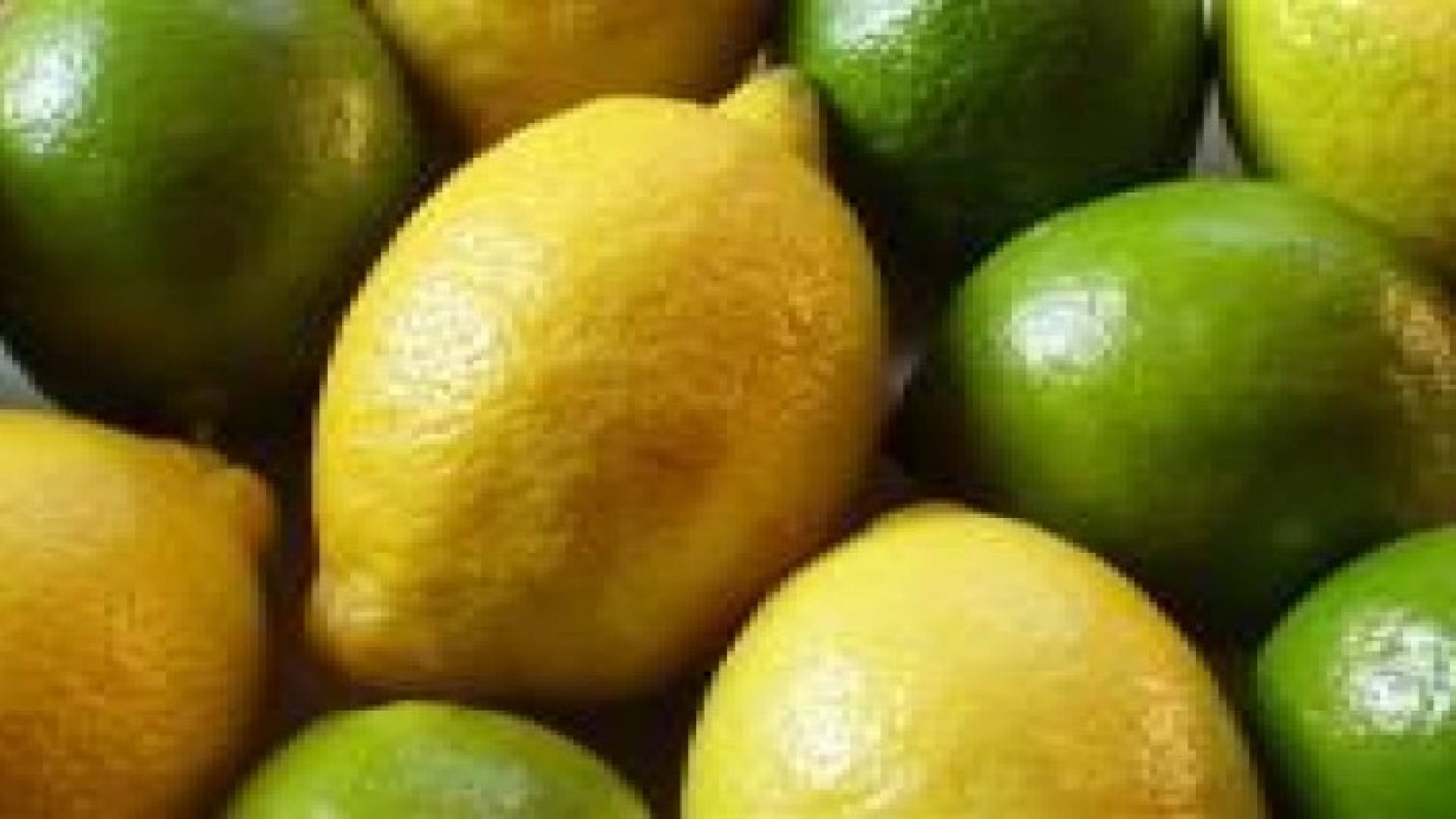 الزراعة: لن تسمح بدخول الليمون غير الناضج لاسواق الخضار المركزية