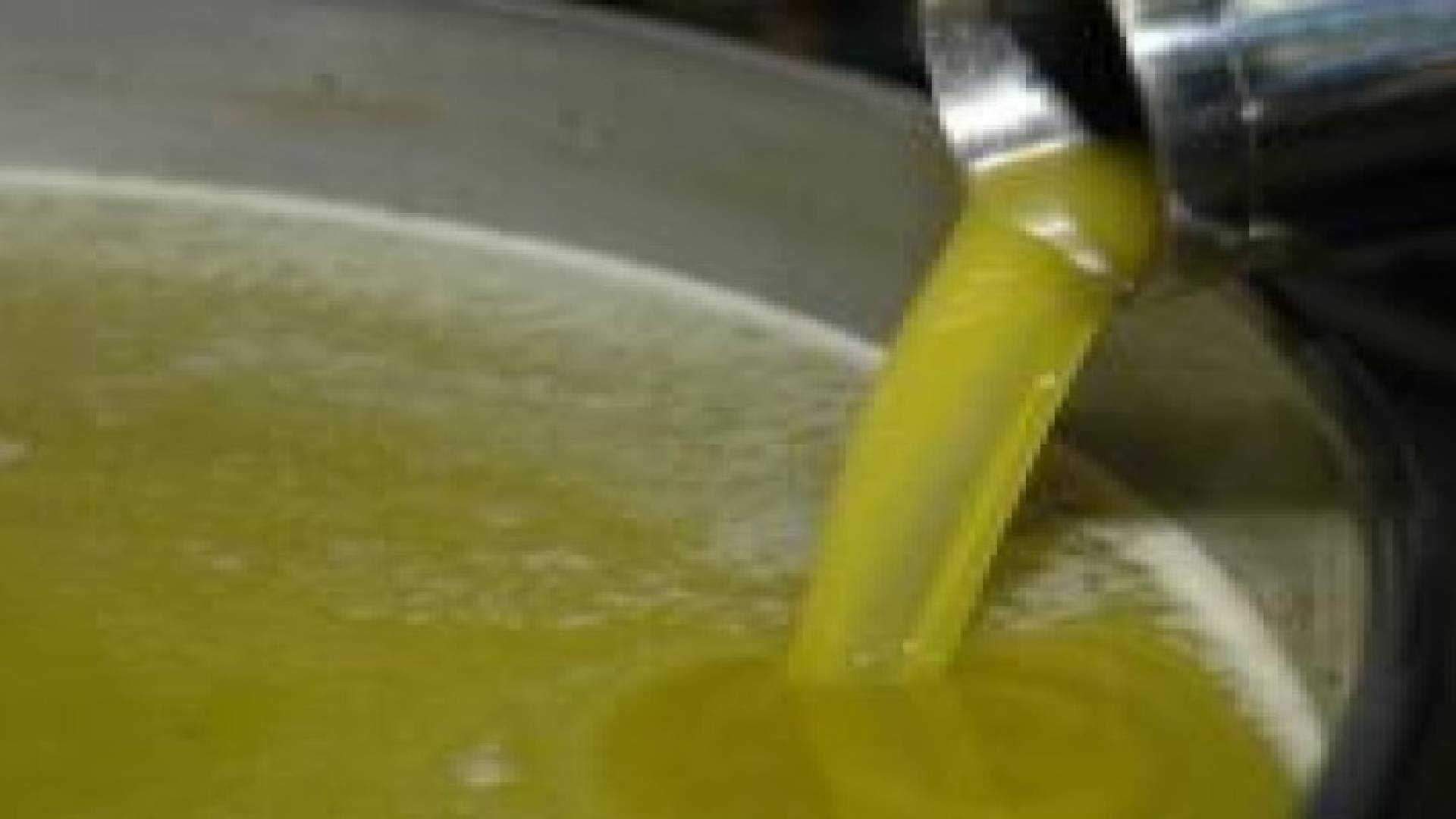 الزعبي: الحكومة مستمرة في منع استيراد زيت الزيتون دعما لـ "المحلي"