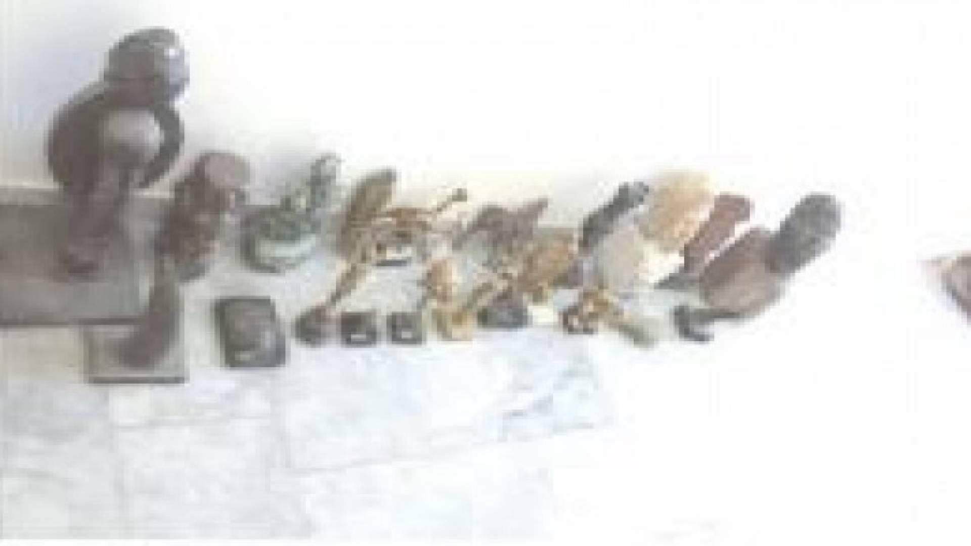 ضبط 21 قطعة أثرية قيمتها 300 ألف دينار بالرصيفة