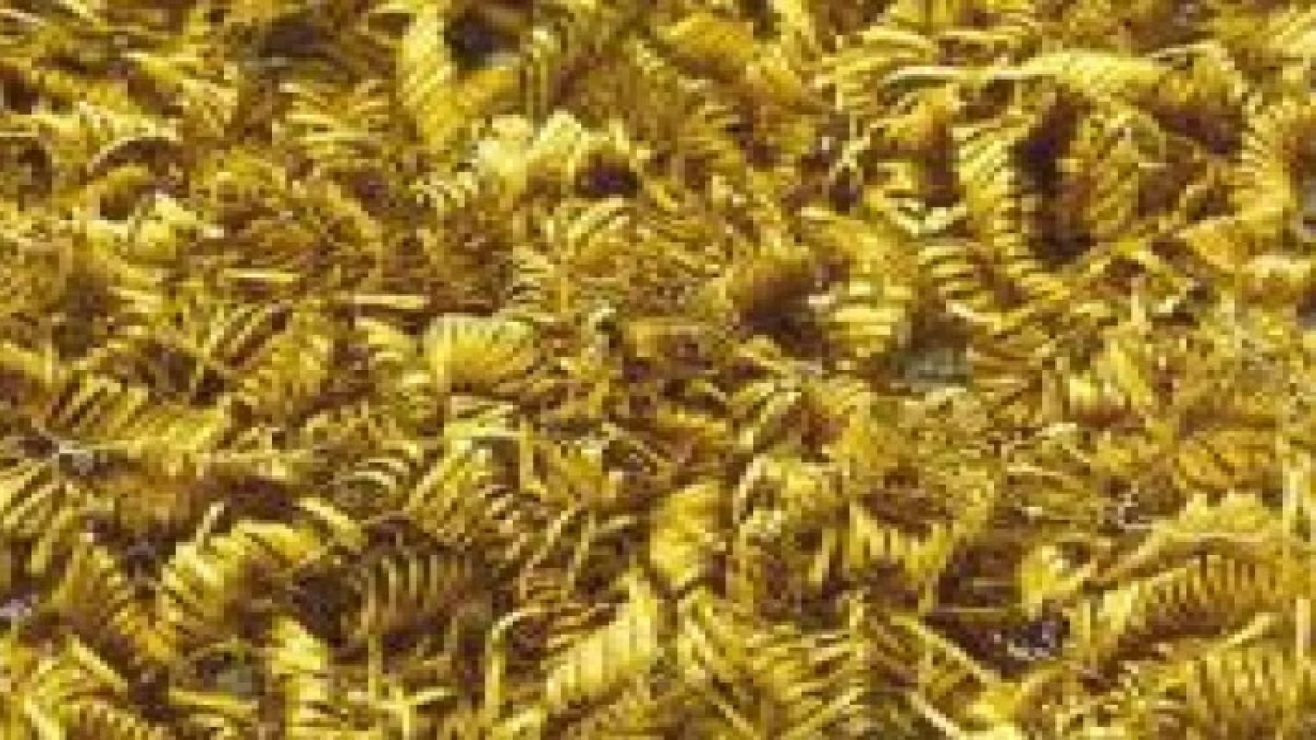 الدنمارك:علماء الآثار يعثرون على 2000 حلزون غامض من الذهب