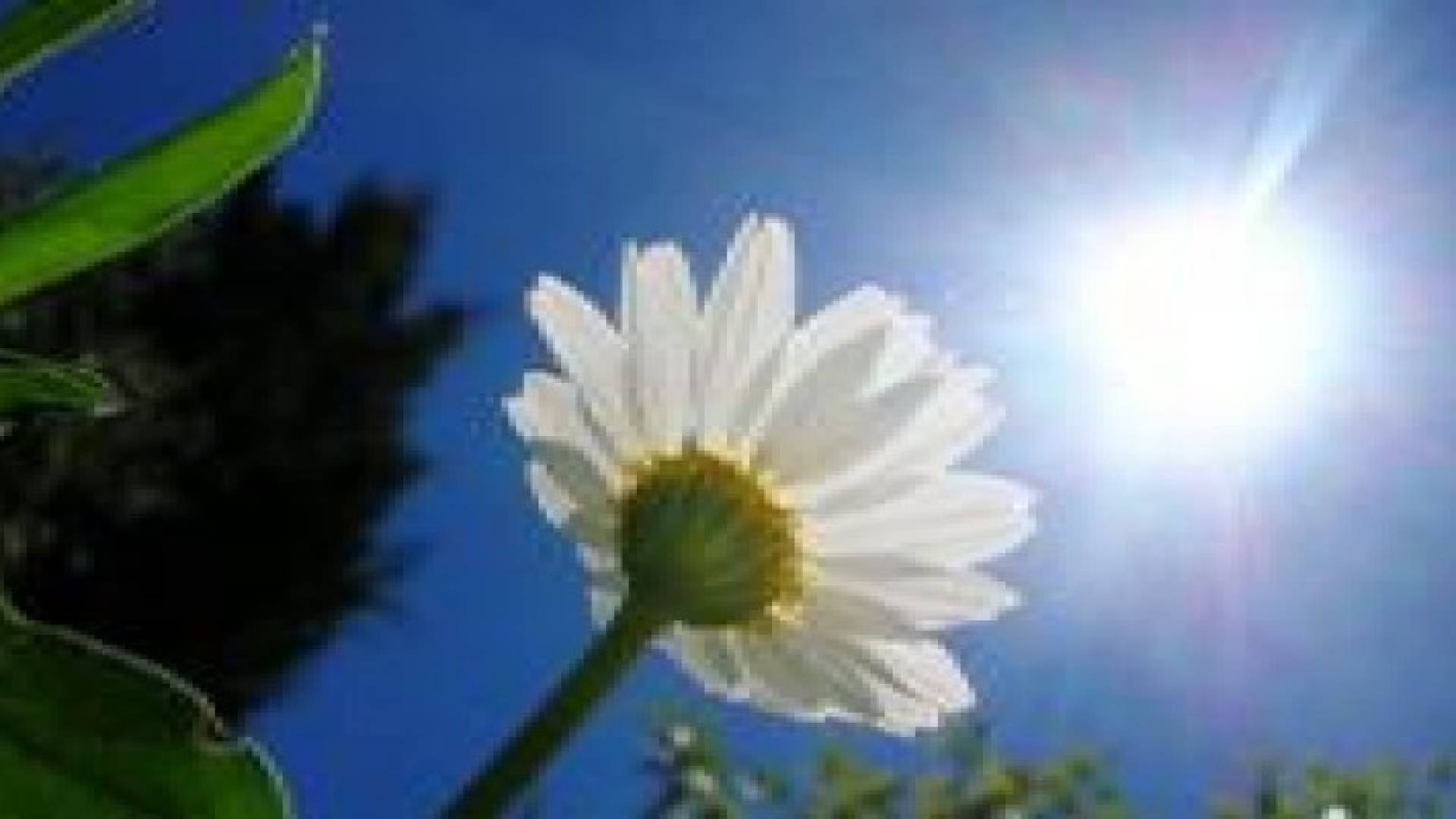 أجواء حارة نسبيا في مختلف مناطق المملكة