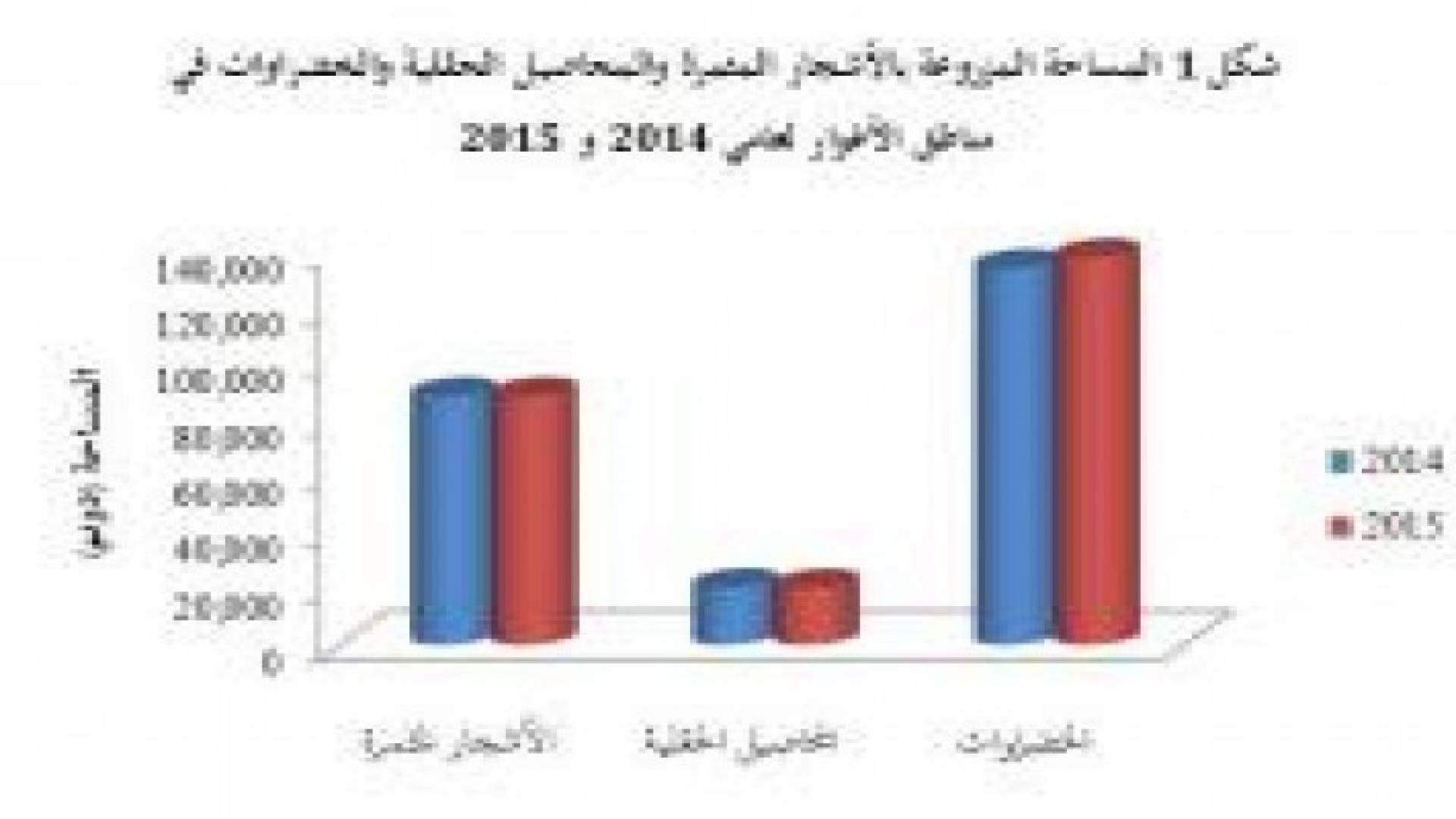 الإحصاءات العامة: 2.8% ارتفاع المساحة المزروعة بمحاصيل الخضراوات في الأغوار لموسم 2015