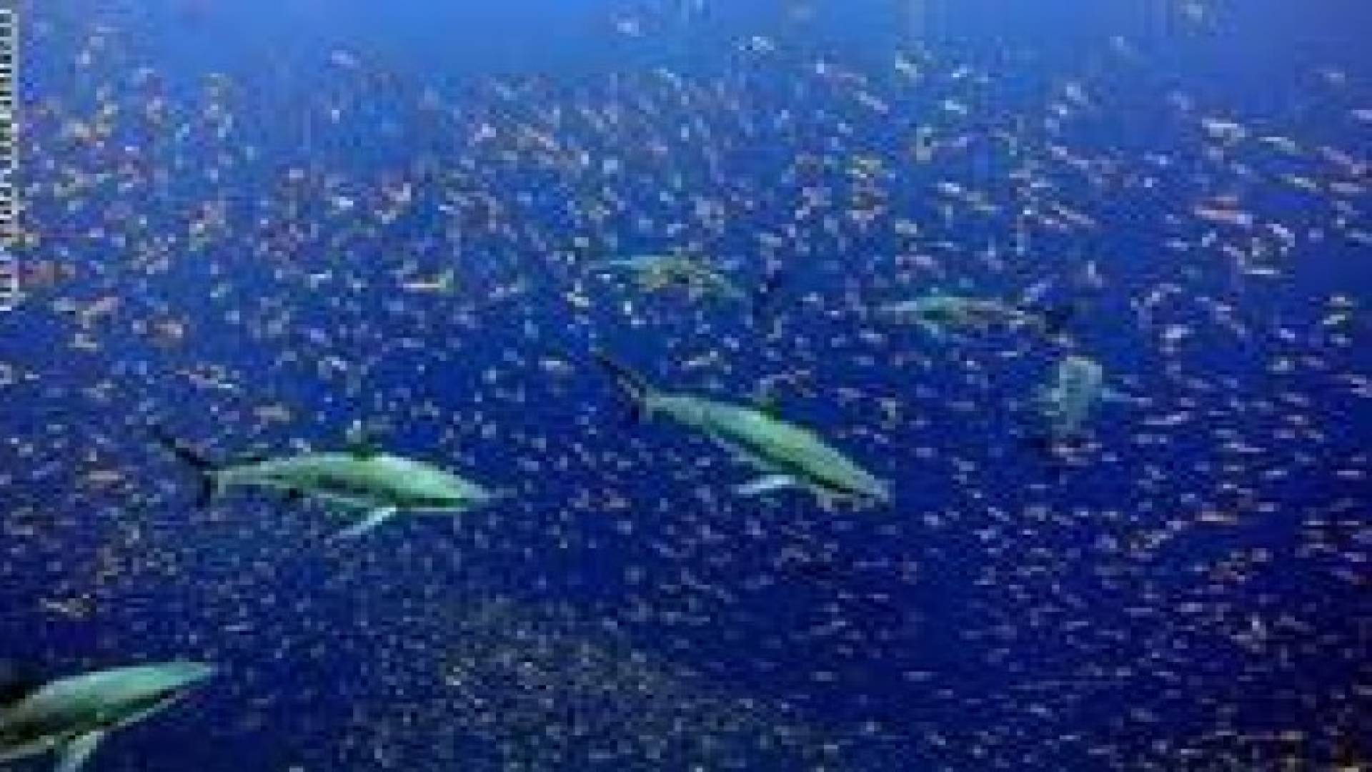 بالصور.. أجمل 10 محميات طبيعية في العالم