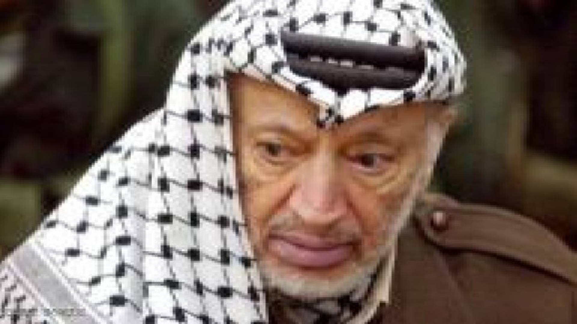 لجنة للتحقيق بوفاة "عرفات": مستمرون في التحقيق بصرف النظر عن أي تحقيقات أخرى
