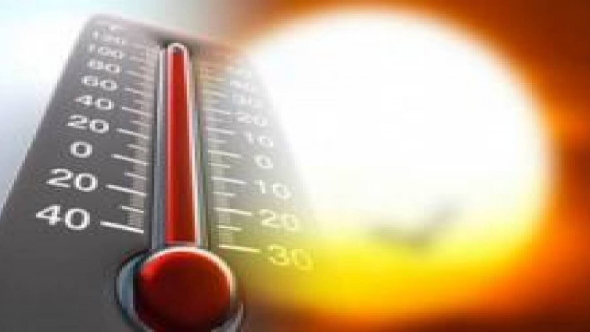 الدفاع المدني يحذر المواطنين من موجة الحر .. تفاصيل