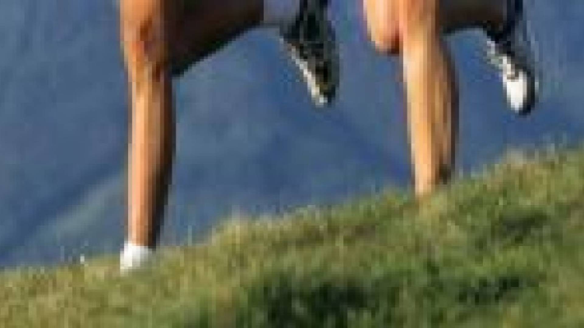 هل يضر الركض بالمفاصل؟‬