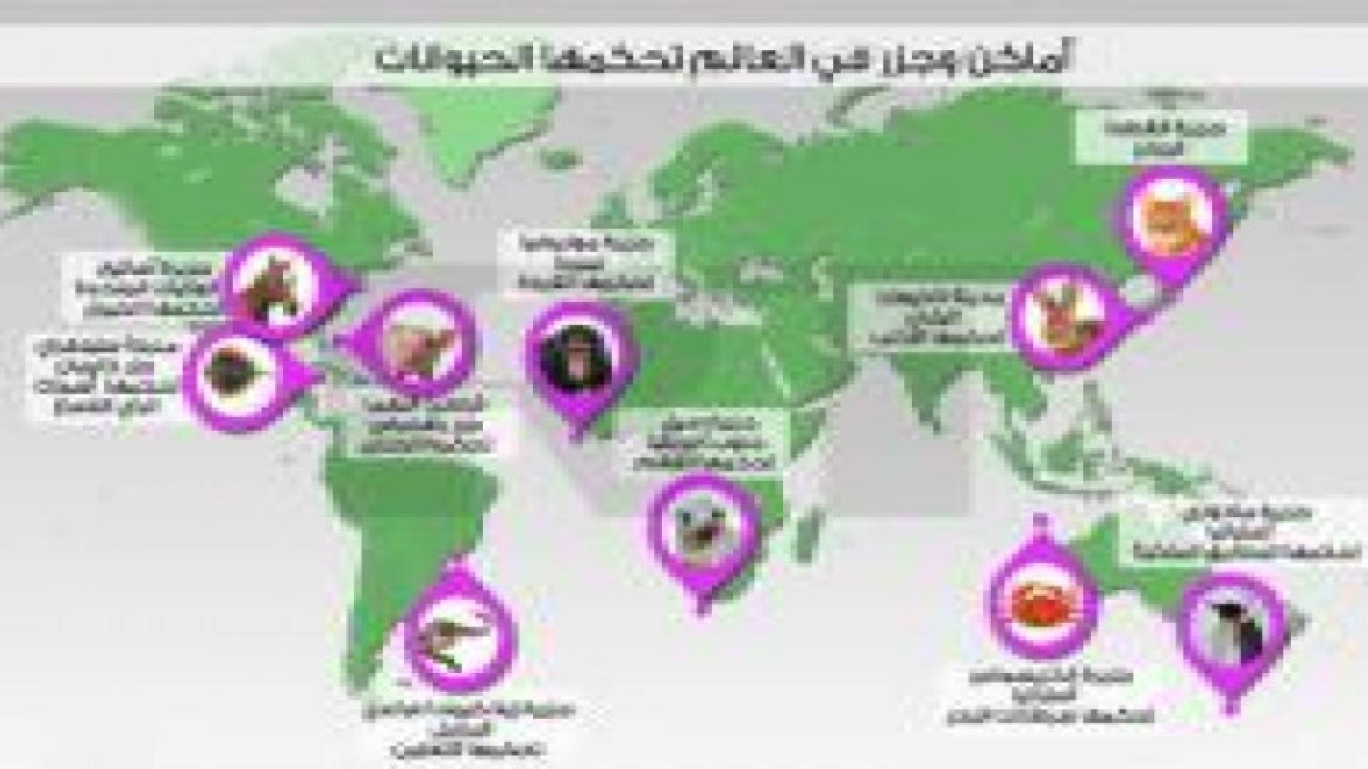 بالصور والفيديو: أماكن وجزر في العالم تحكمها الحيوانات