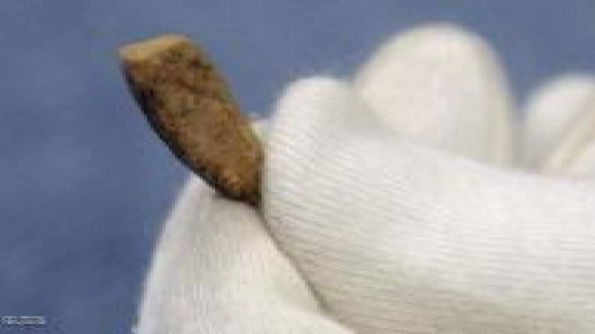 اكتشاف "سن بشرية" عمرها 560 ألف عام