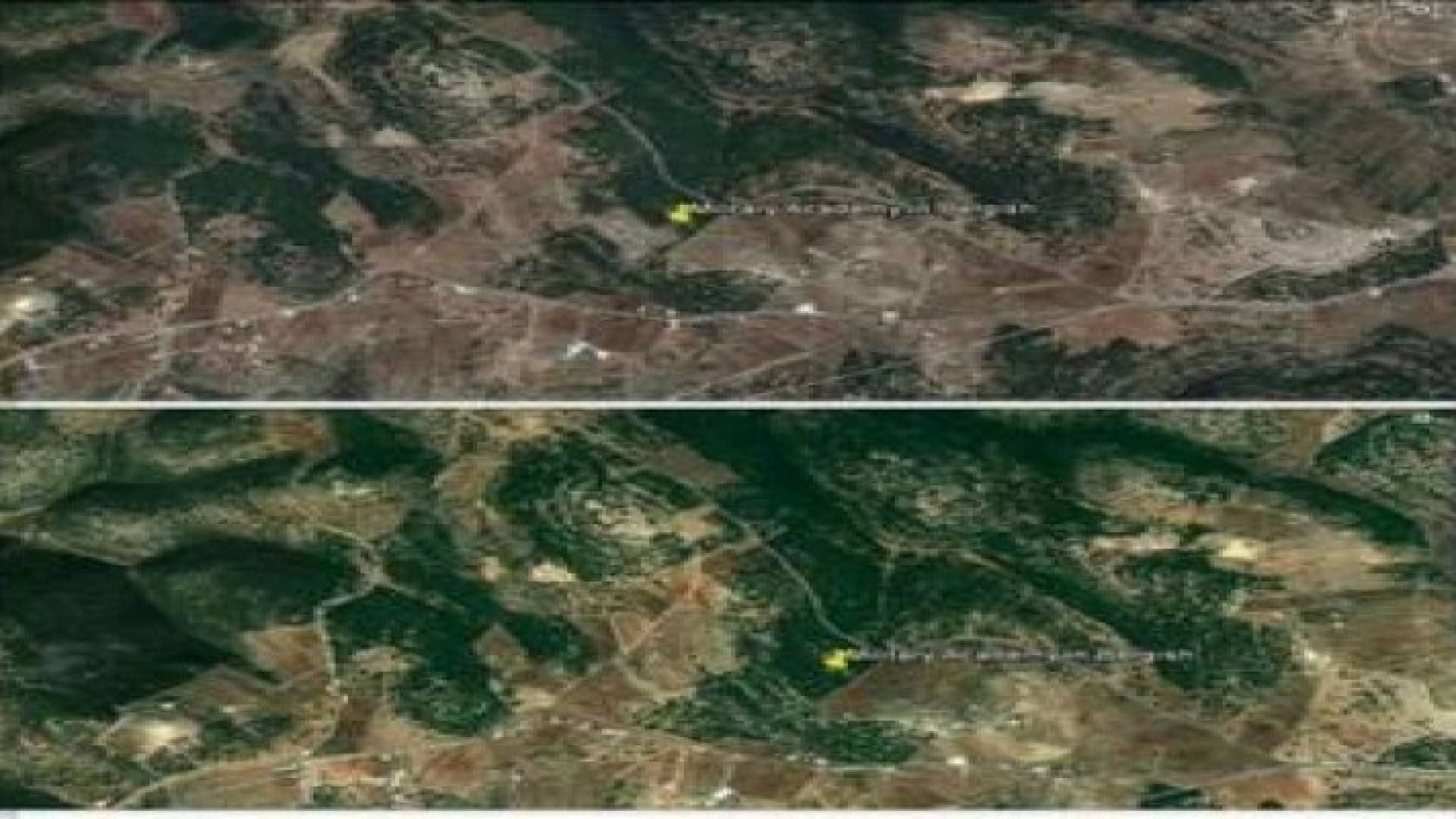 ناشطون يتداولون صورة تظهر اقتلاع أشجار " برقش "