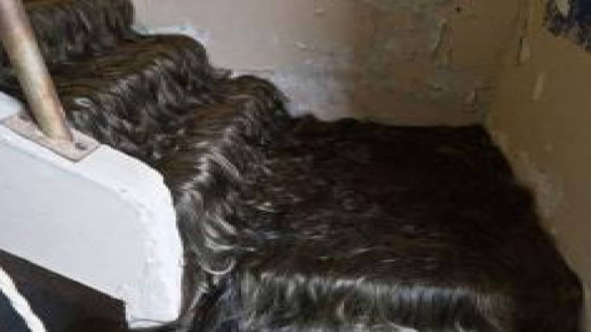 أزياء برازيلية مصنوعة من الشعر البشري .. فيديو