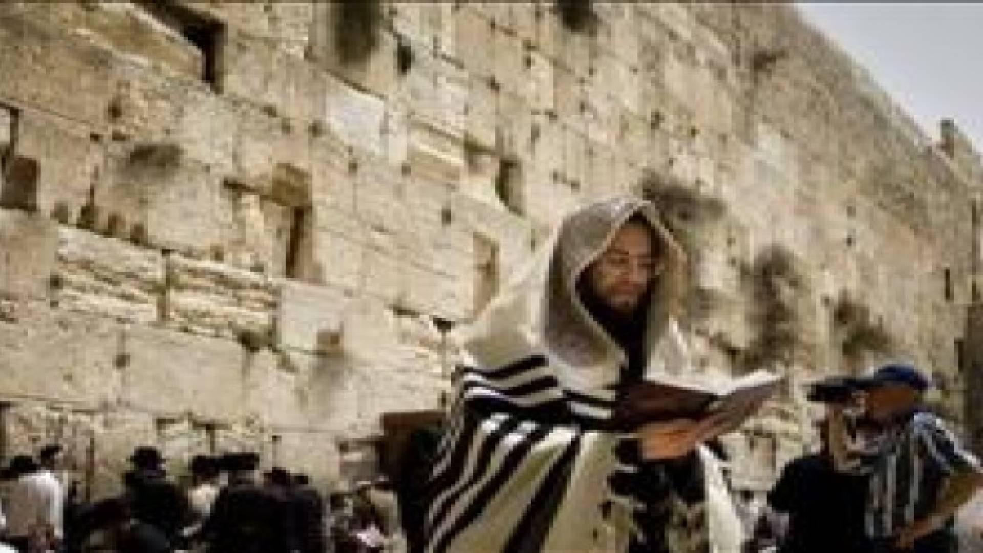 طعن 6 من اليهود المثليين في القدس المحتلة.. تفاصيل