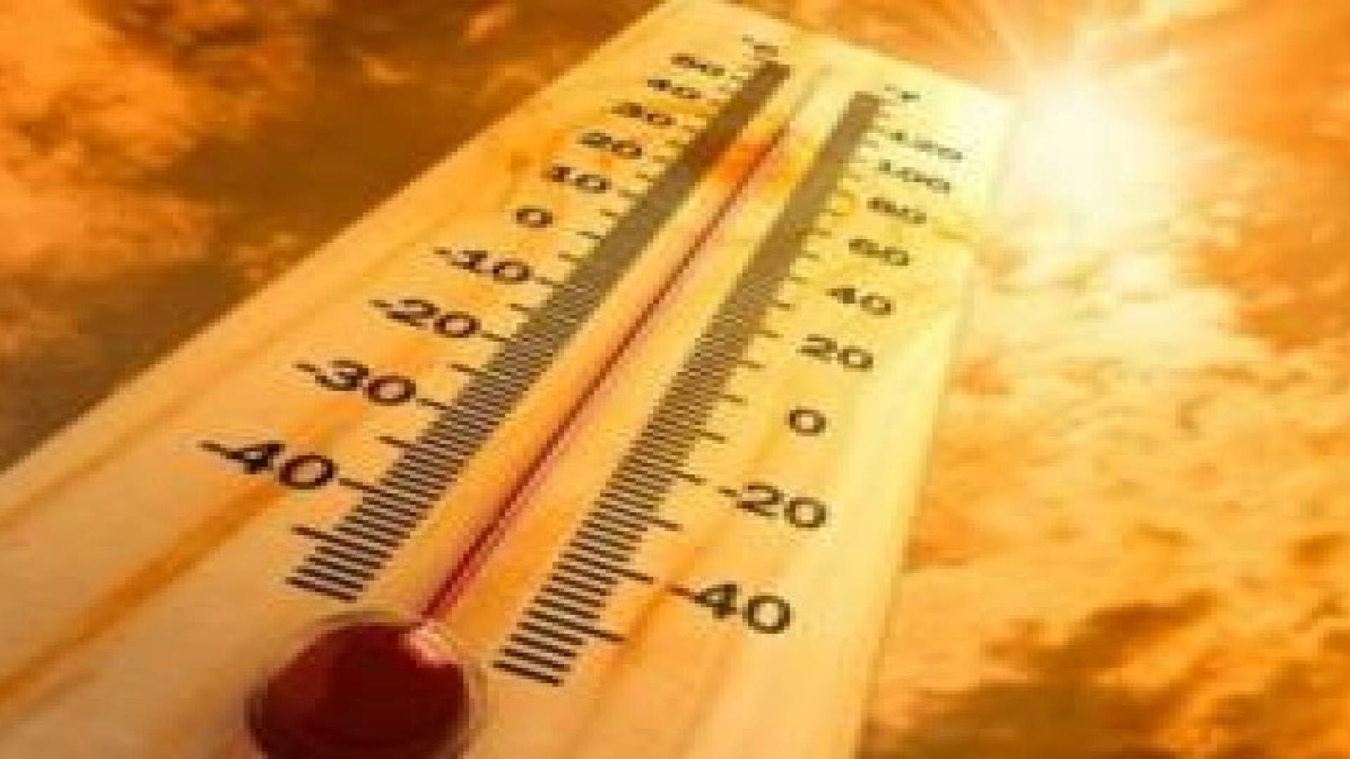 اعلان عطلة رسمية الأحد "مستبعد"