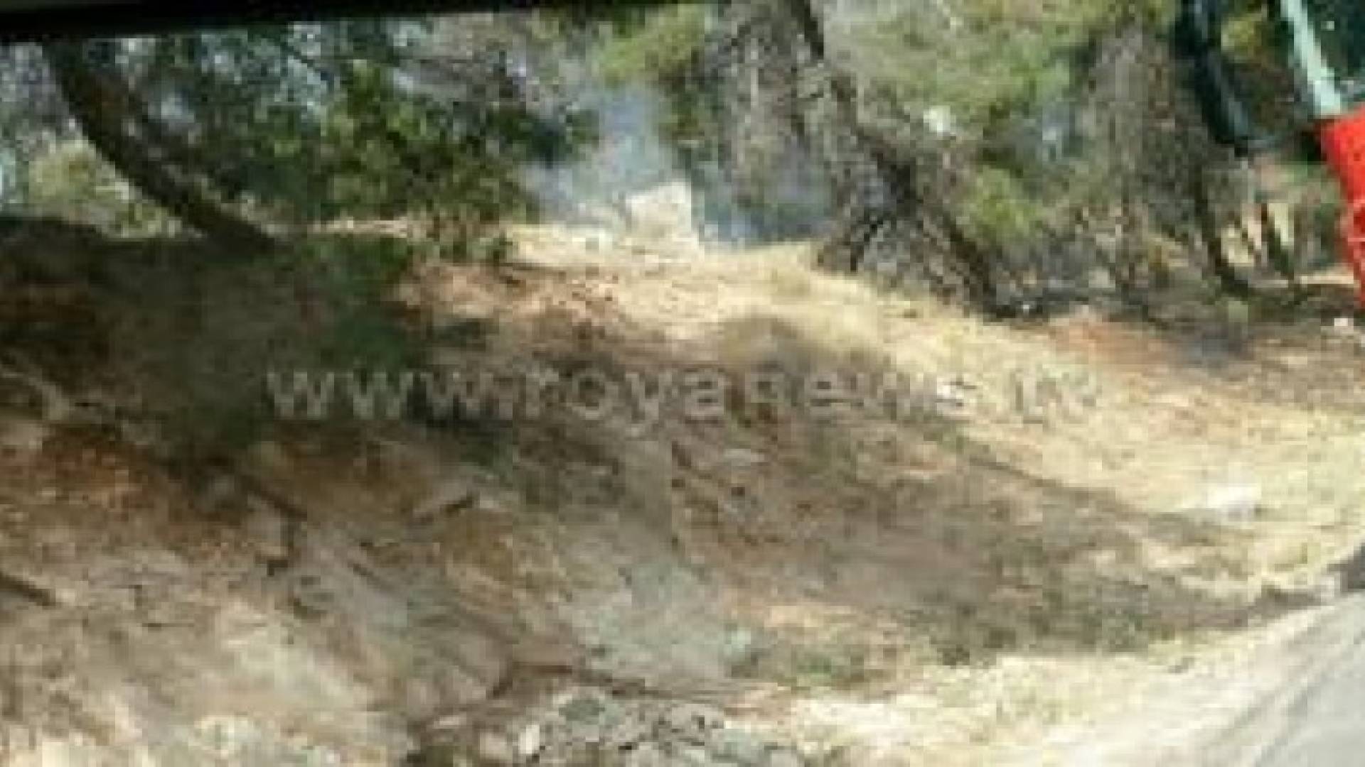اخماد حريق في ارض حرجية بالهاشمي الشمالي .. صور