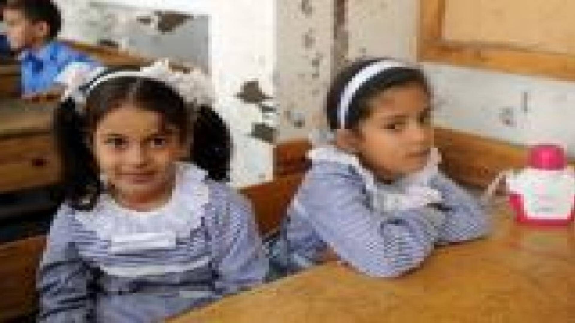 الذنيبات: مدارس الحكومة غير قادرة على استيعاب طلاب "الأونروا"