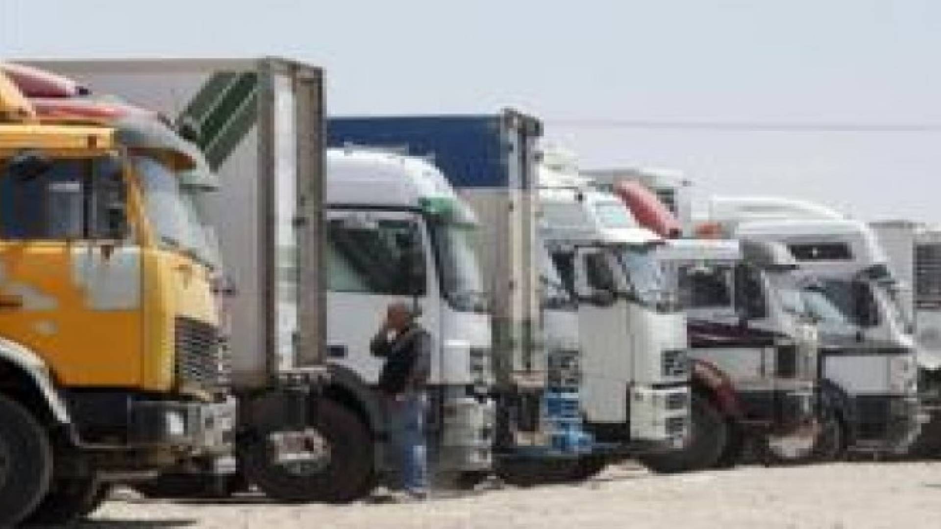 الاردن يصدر نصف مليون طن خضار وفواكه حتى نهاية تموز الماضي