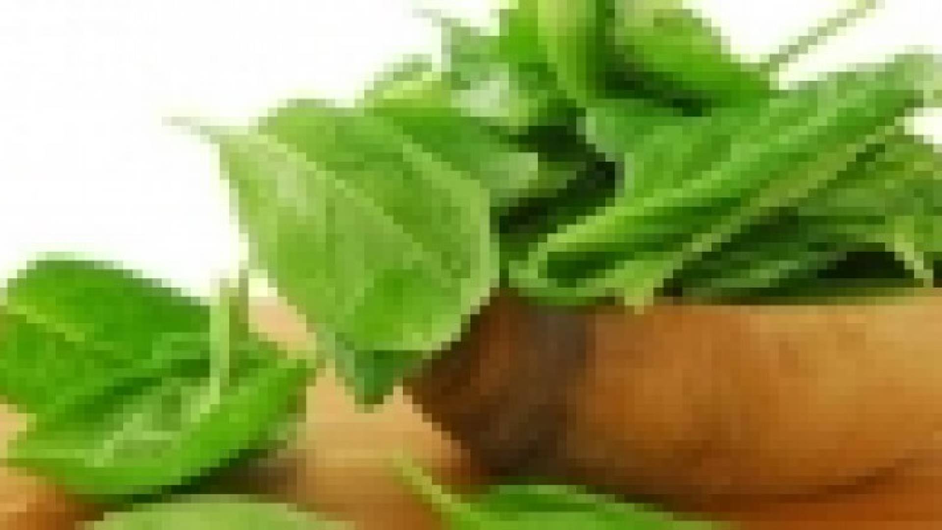 السبانخ تكبح الشغف بالطعام