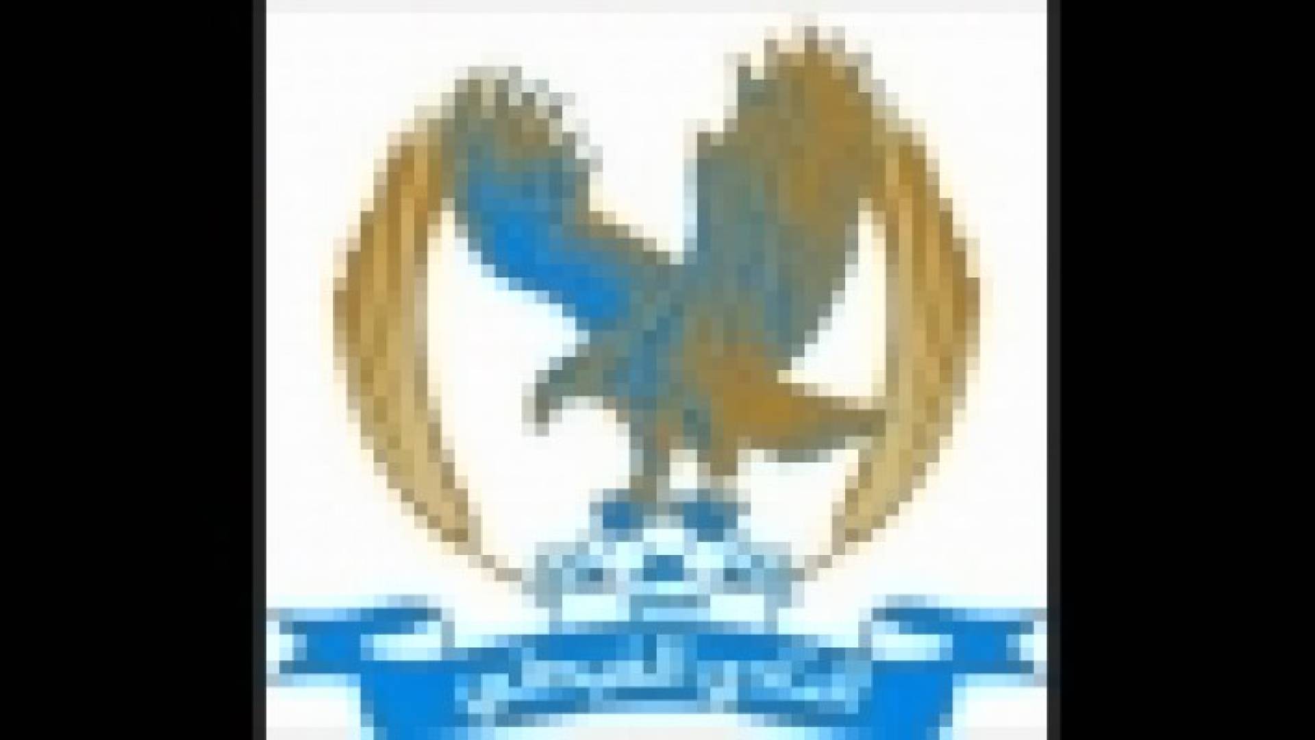 الفيصلي يصدر بيانا يطالب فيه بمستحقاته المالية من اتحاد الكرة