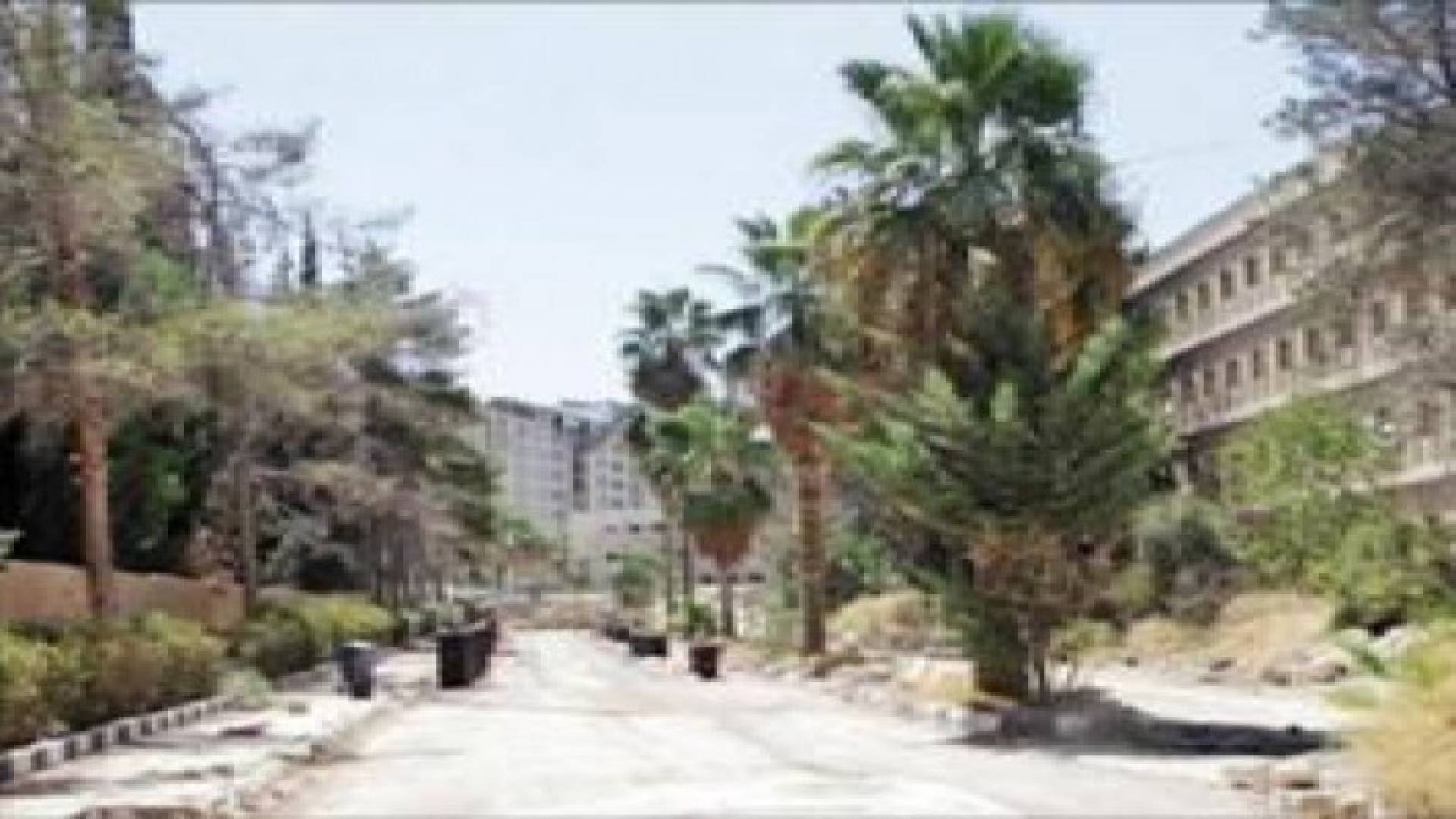المهندسين الزراعيين تحتج على قطع 100 شجرة معمرة بالعبدلي