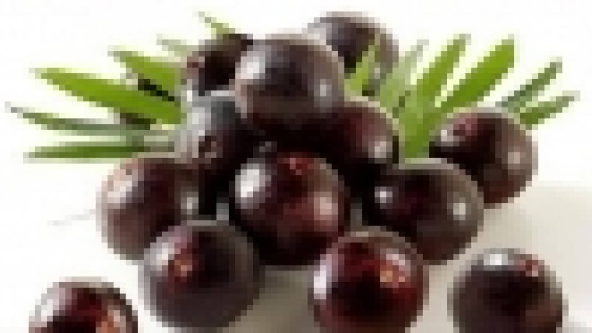 توت الآساي.. حلو لكنه قليل السكر