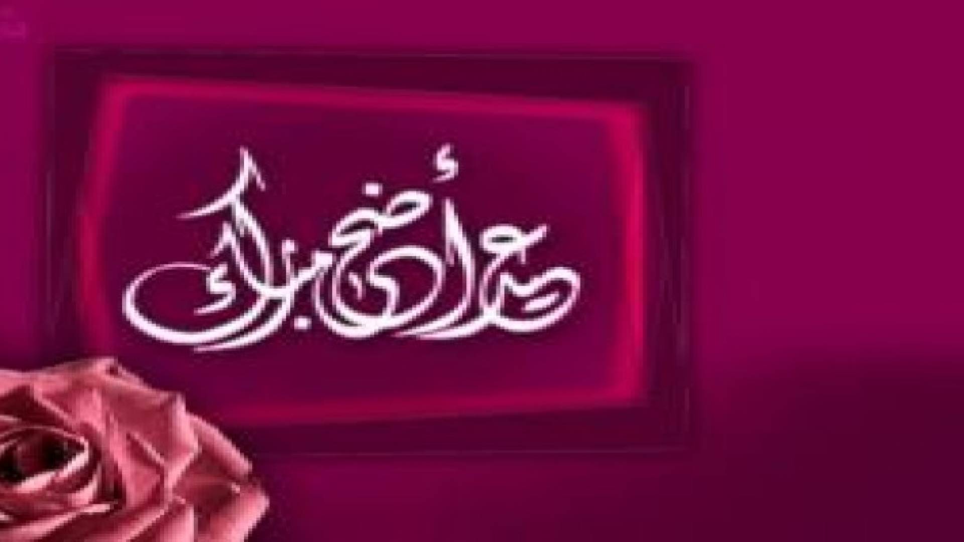 المعهد القومي للبحوث الفلكية المصري يعلن موعد وقفة عرفات وعيد الأضحى