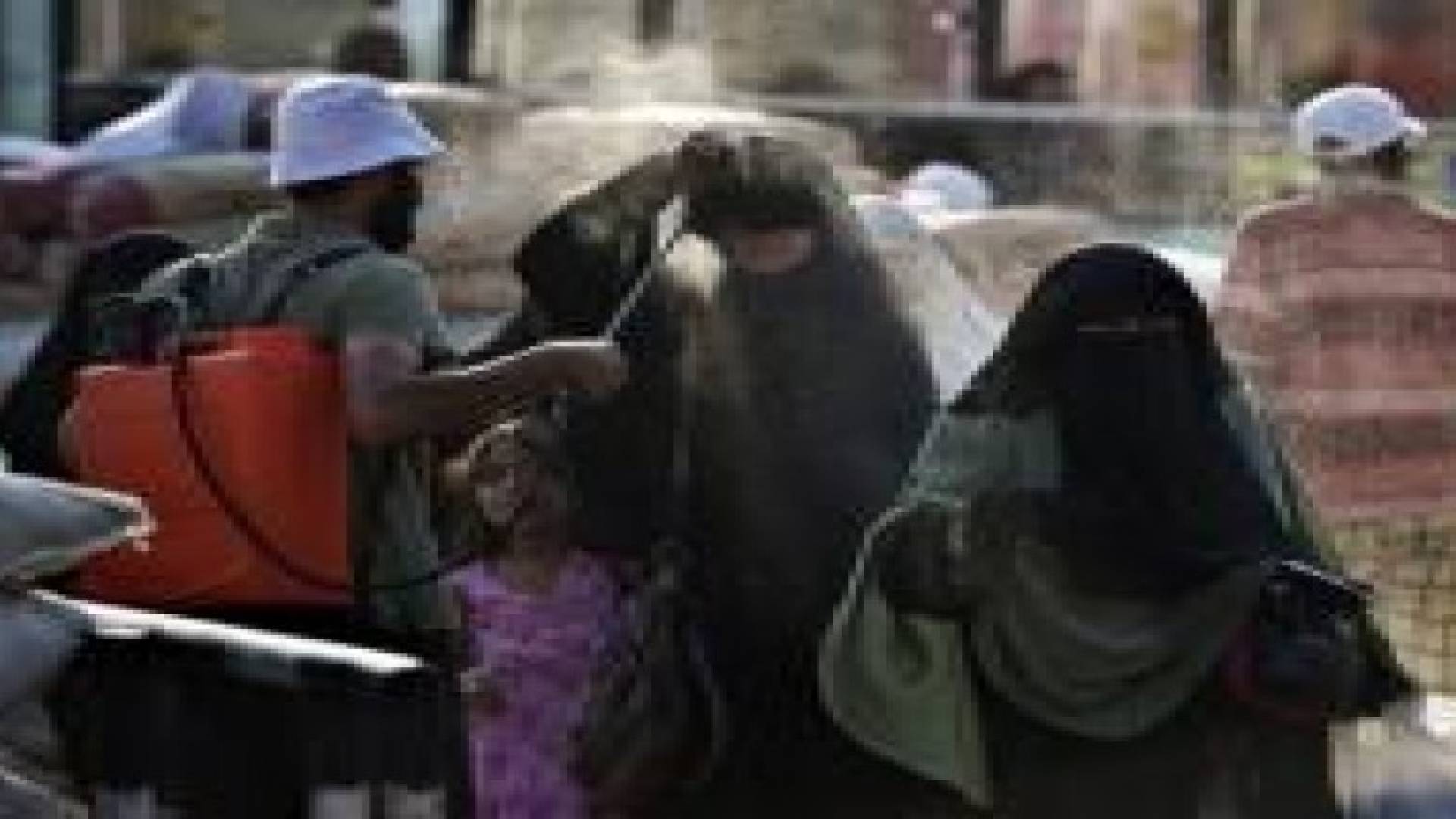 66 حالة وفاة بسبب الحر في مصر