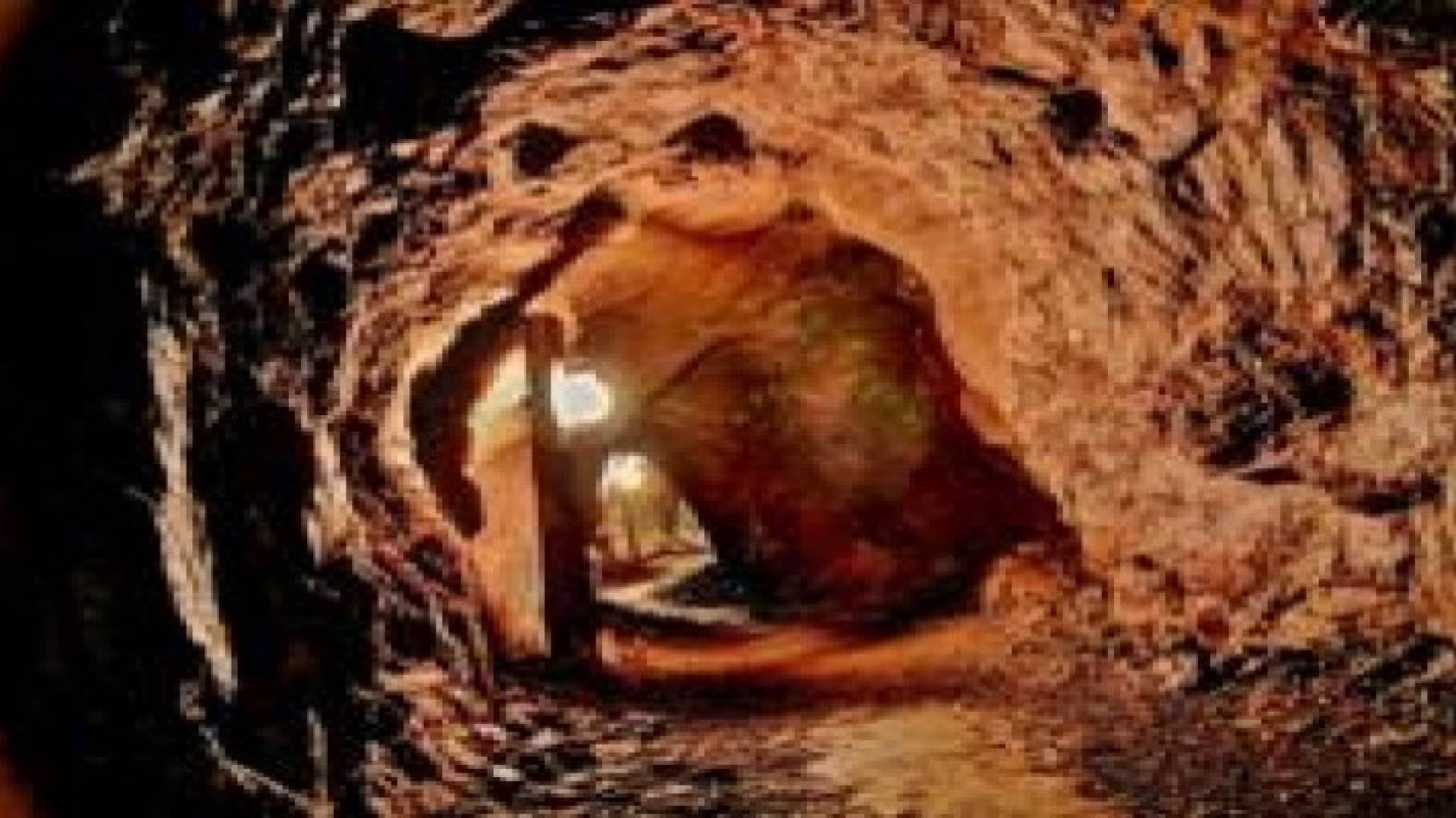 تعرف على أغرب 5 مدارس فى العالم
