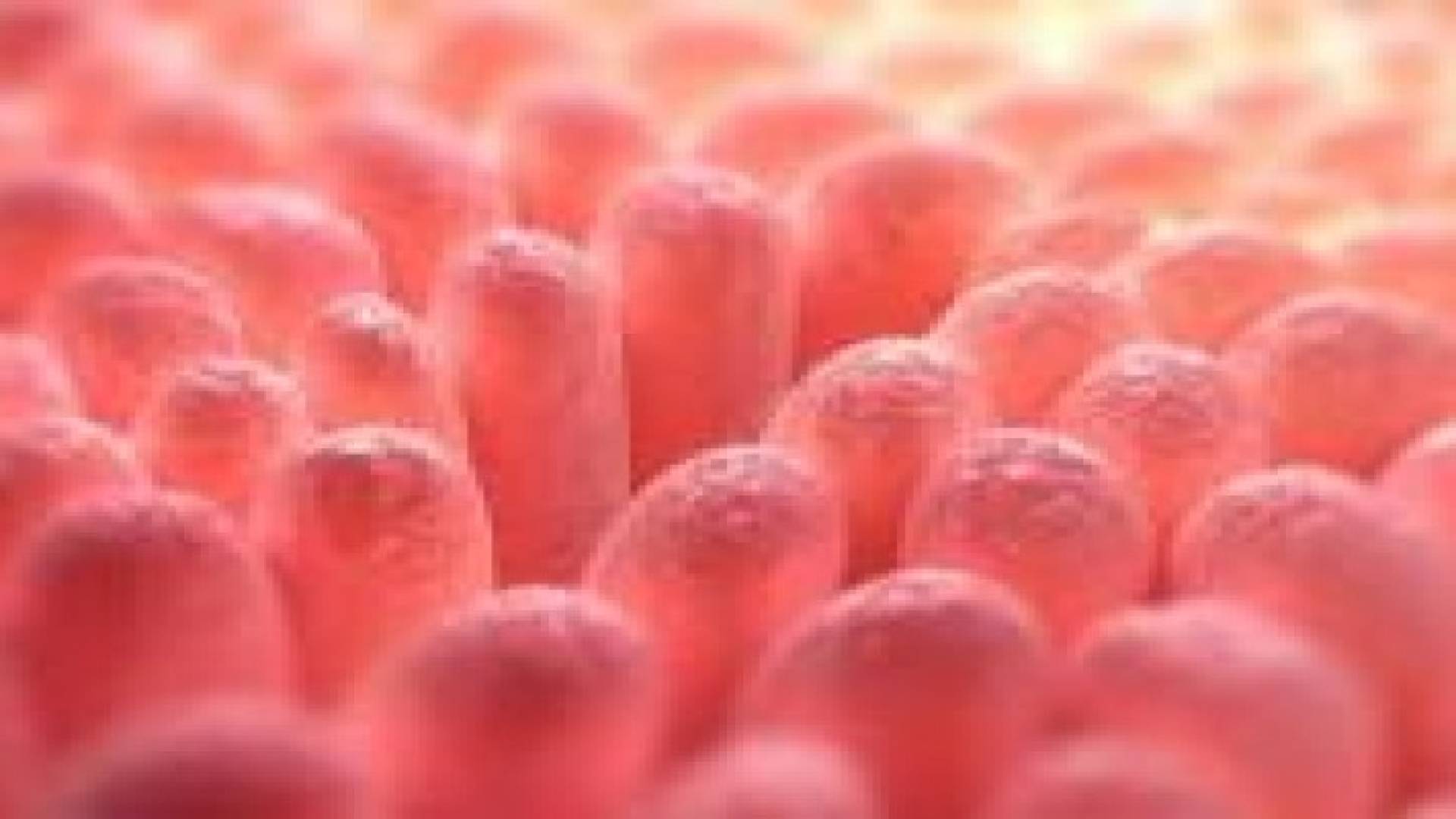 هلام يلتصق بأنسجة الأمعاء الملتهبة ويعالجها