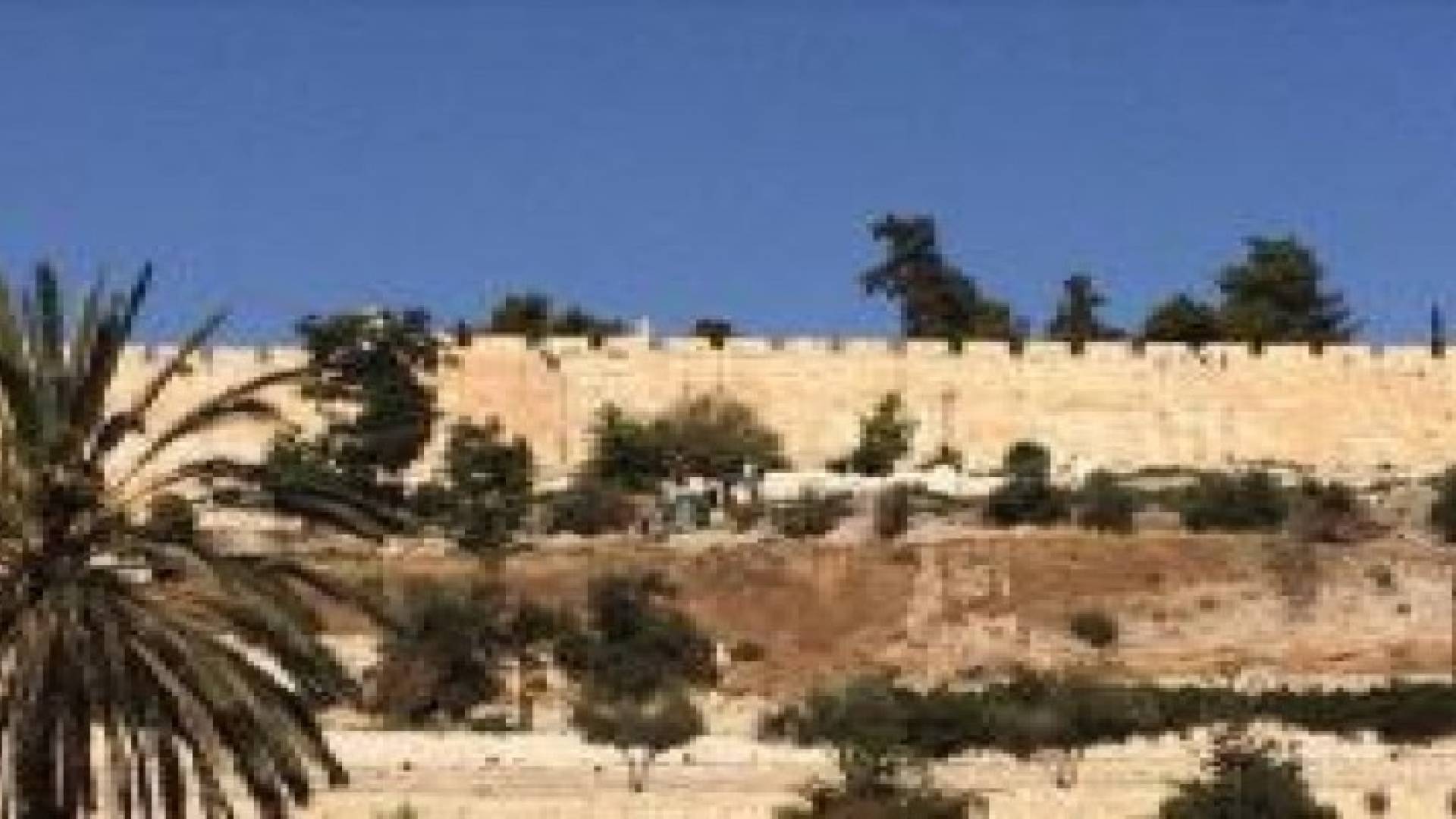 الاحتلال يستولي على أرض ملاصقة لأسوار المسجد الأقصى