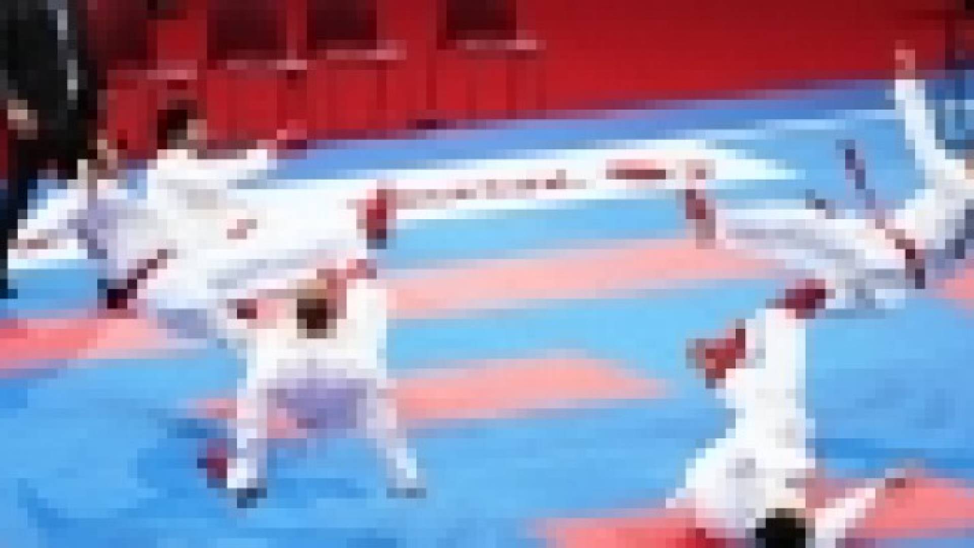 اختيار الجزائر لاستضافة البطولة العربية للكراتيه 2016