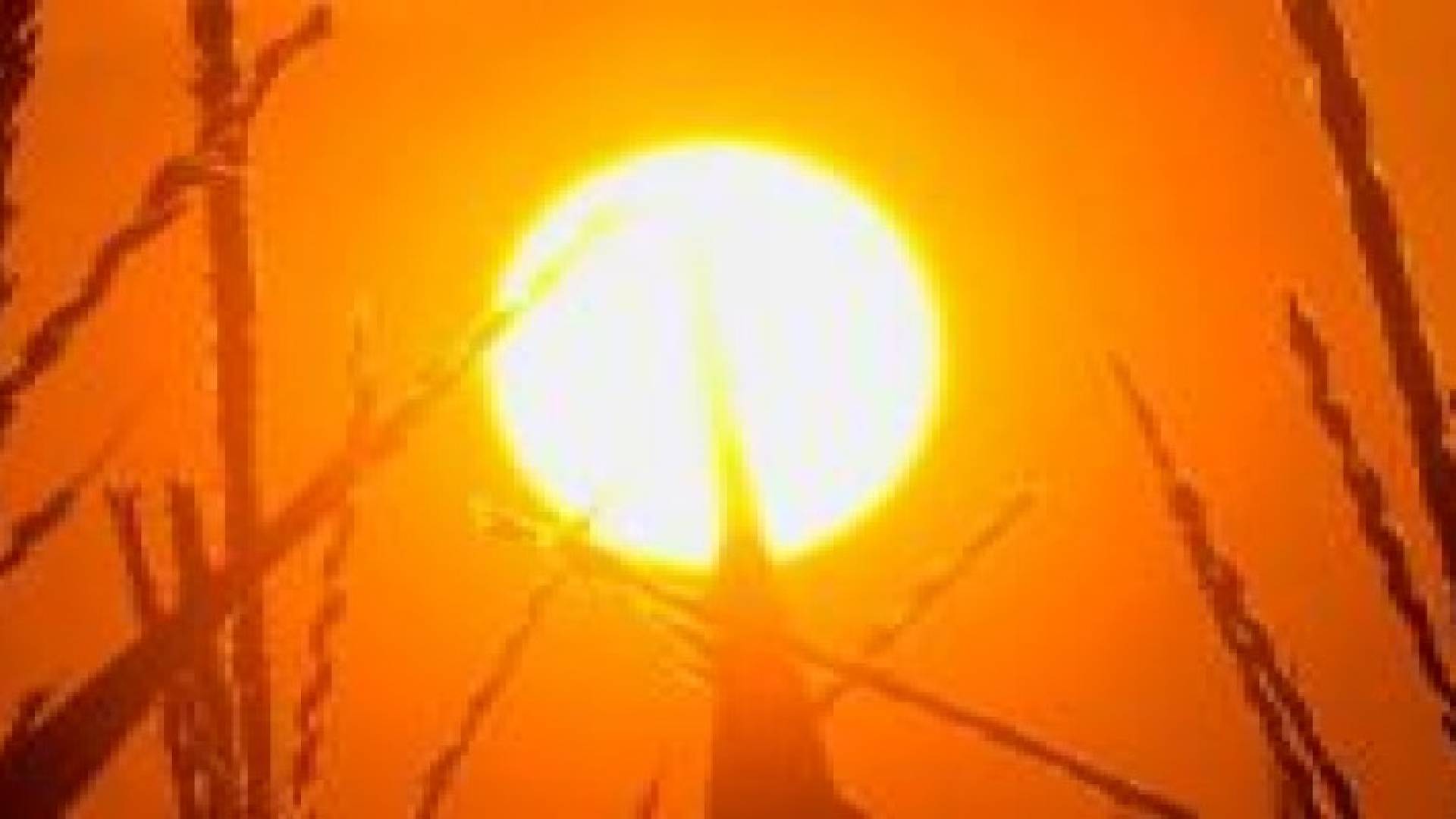 طقس الإثنين: الحرارة تلامس 40 مئوية في أجزاء من العاصمة عمان