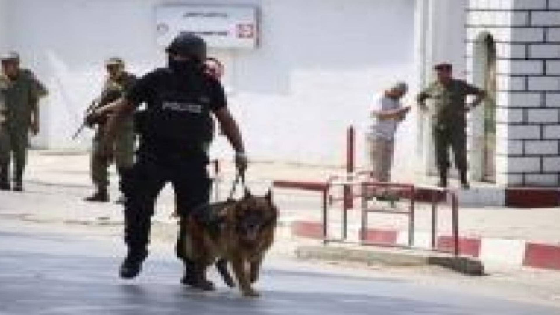 الأمن التونسي يطيح بخلية تتبنى فكر "داعش"