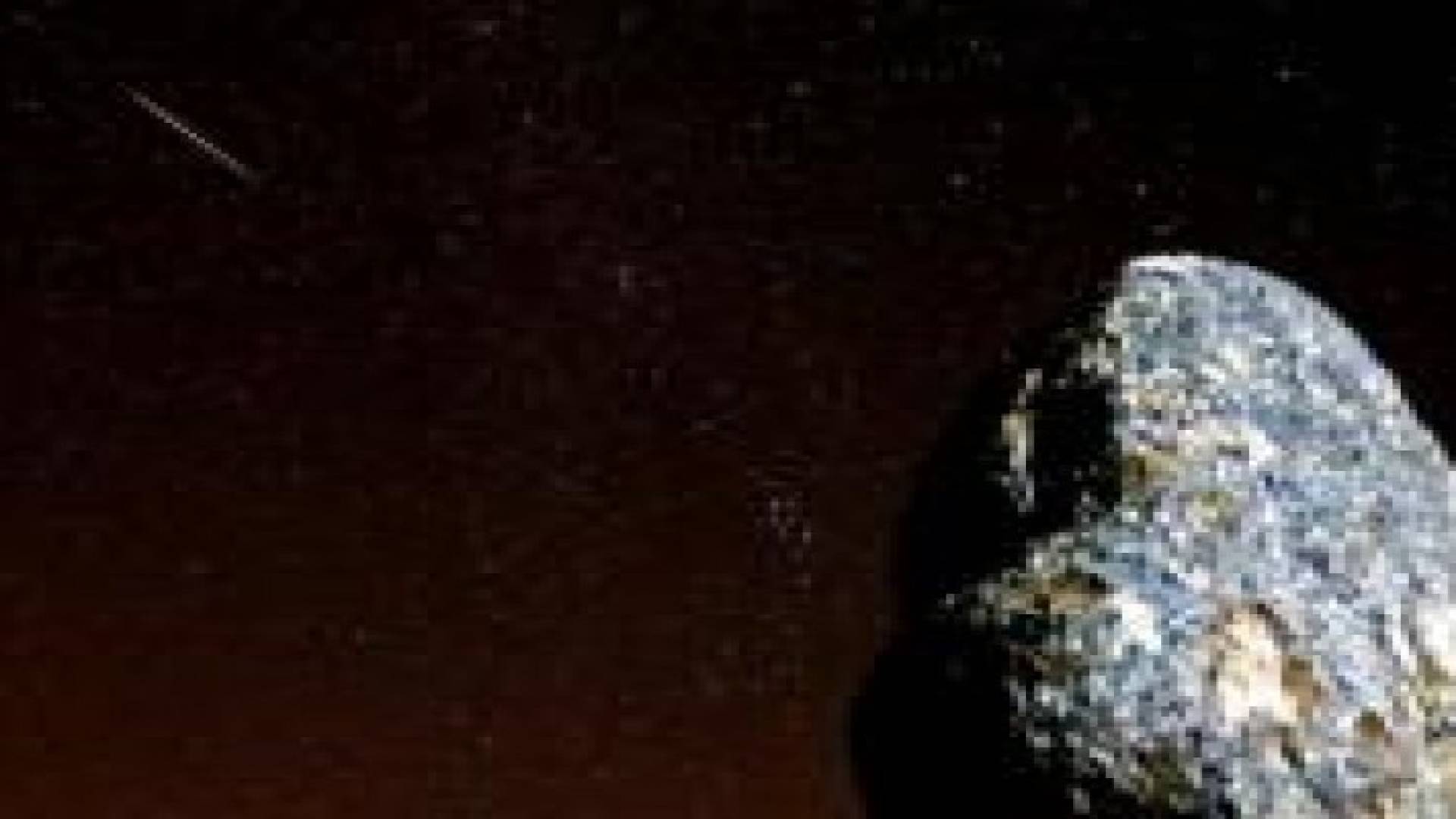 علماء: البشر أيضا مهددون بخطر الانقراض الجماعي