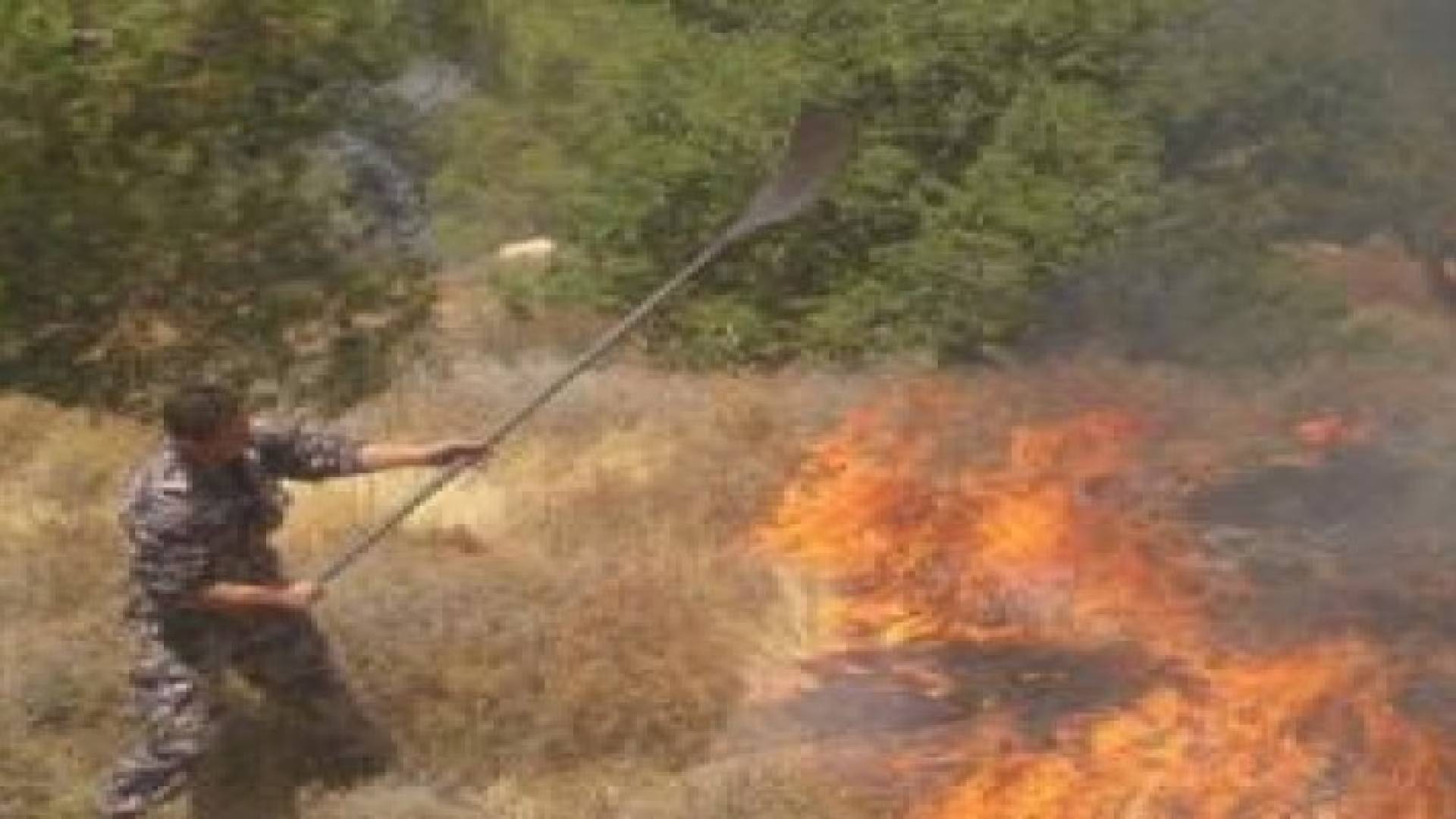 اخماد حريق أشجار حرجية وأعشاب جافة في جرش