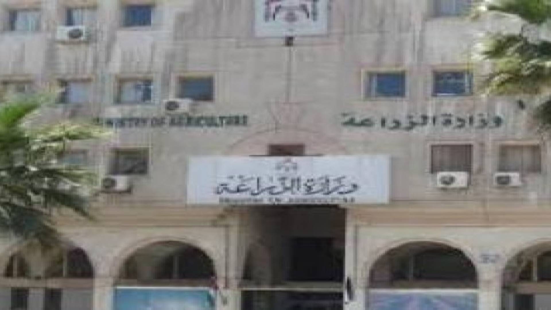 رفض إدخال 25 ألف رأس غنم مصابة بالحمى القلاعية