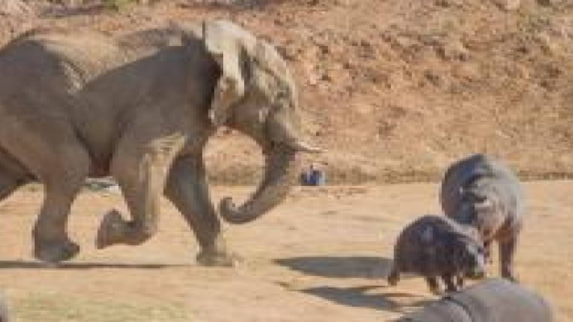 العلماء يصورون ملامح الأرض بلا بشر