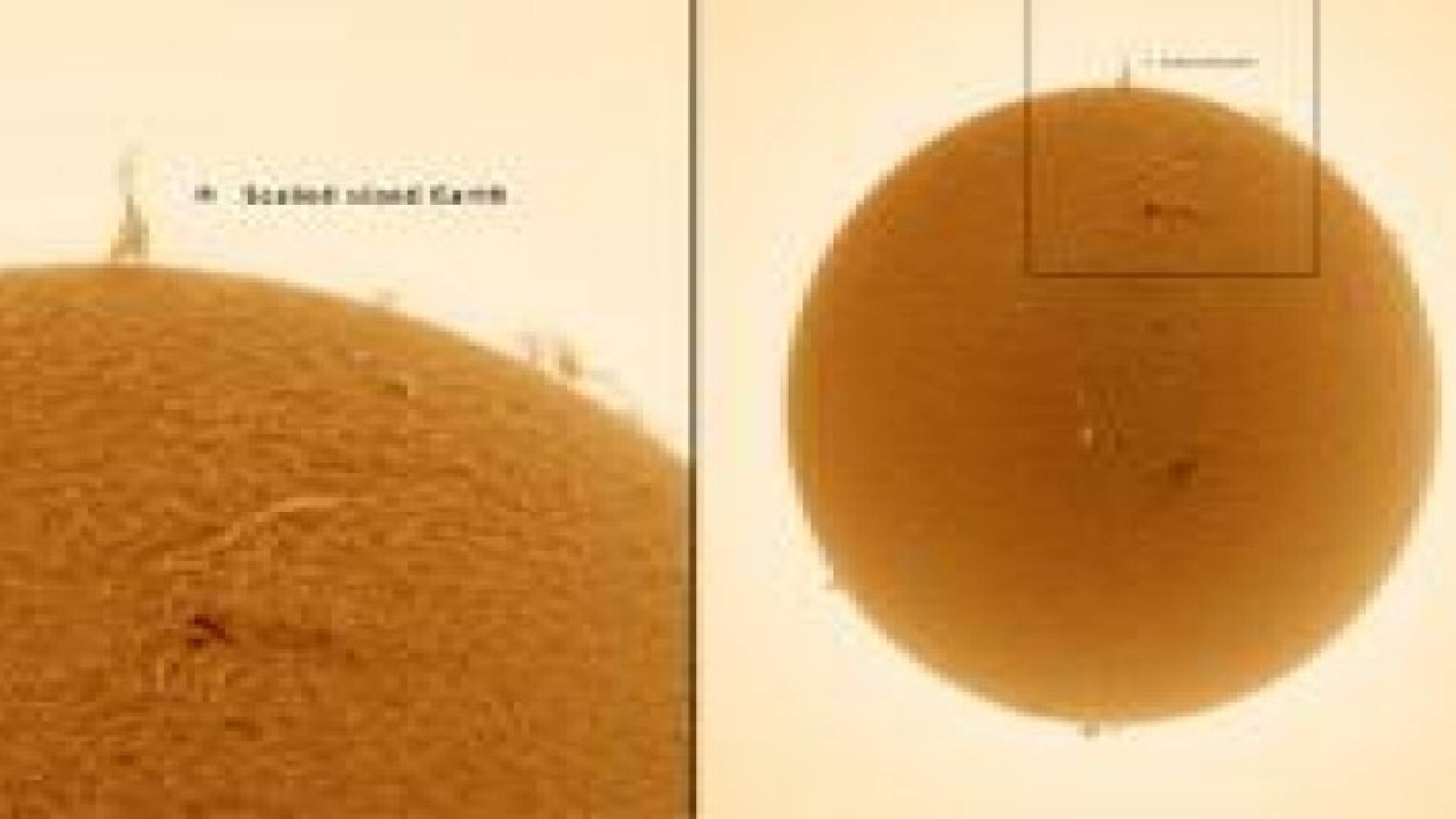 "برج إيفل" بحجم 7 أضعاف الأرض يظهر على سطح الشمس