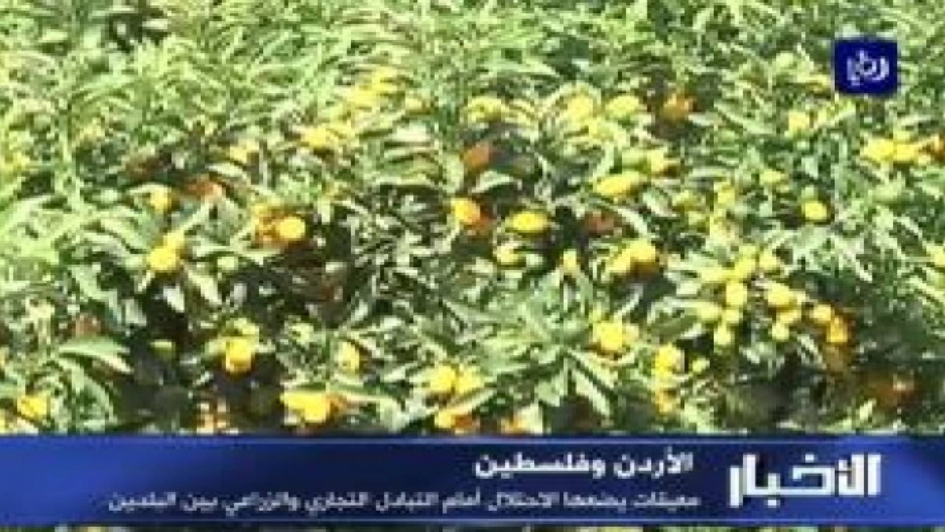 معيقات يضعها الاحتلال أمام التبادل التجاري والزراعي بين الأردن وفلسطين.. فيديو